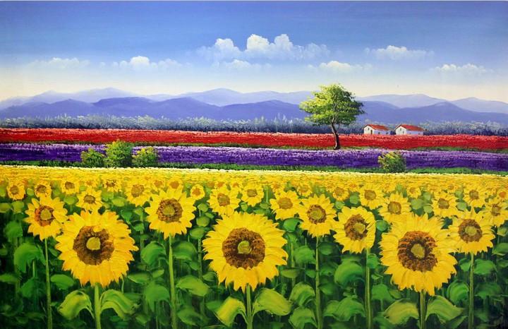 Sunflowers Field Wallpaper AJ Wallpaper