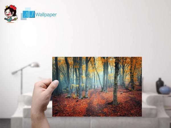 Customize Ceiling Mural Wallpaper AJ Wallpaper