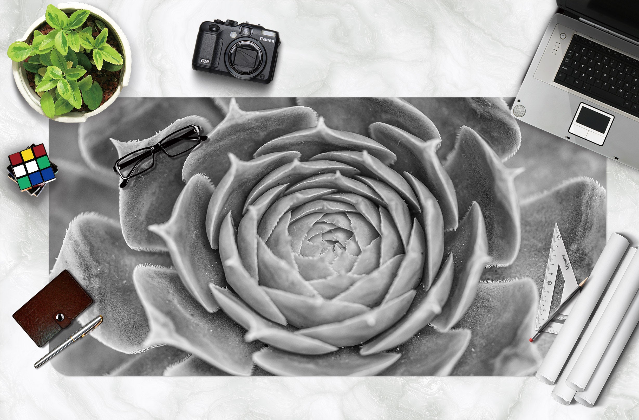 3D Gray Succulent 7763 Assaf Frank Desk Mat