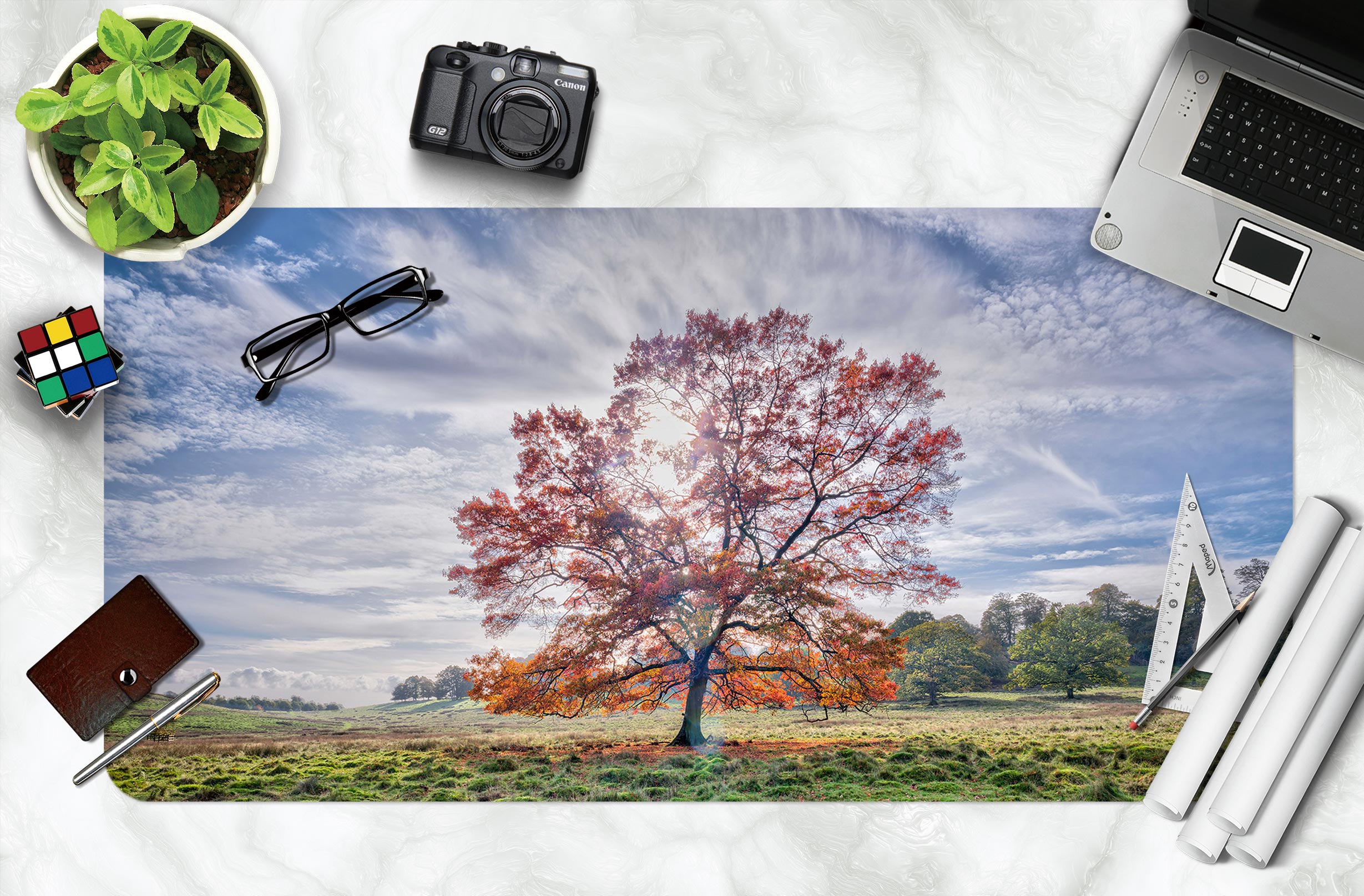 3D Grassland Tree 12438 Assaf Frank Desk Mat