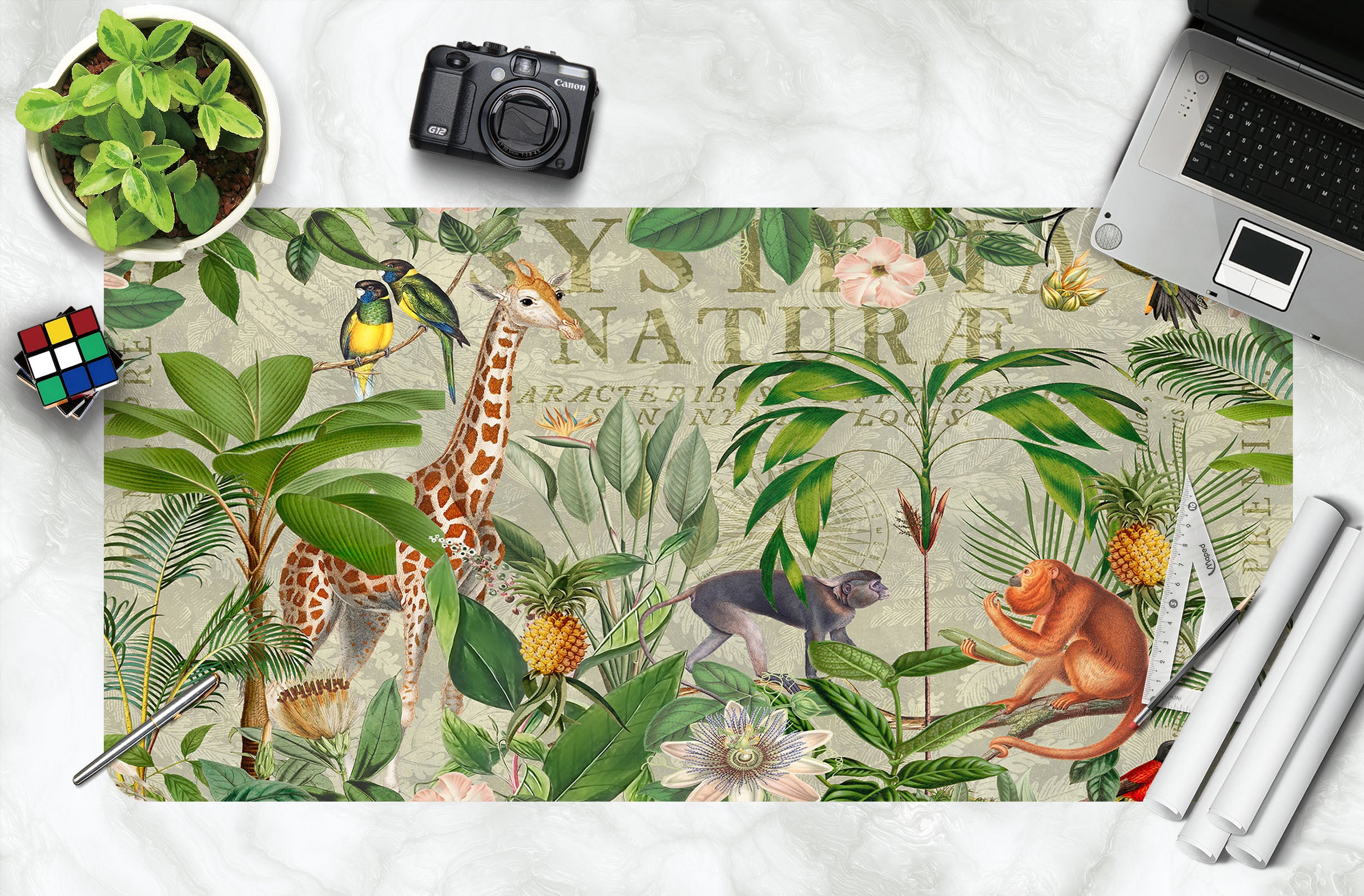 3D Green Tree Monkey 5241 Andrea Haase Desk Mat