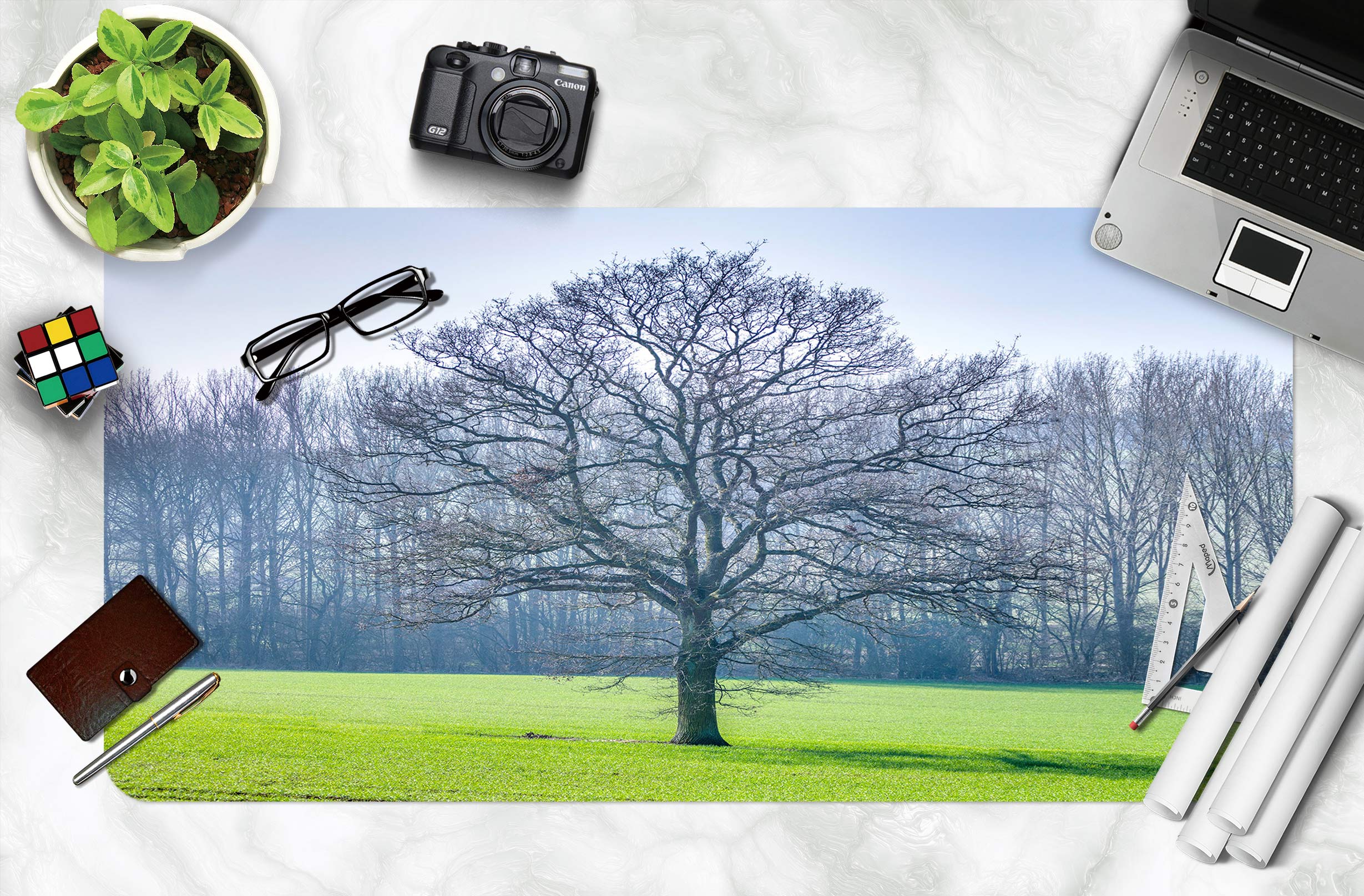 3D Lawn Tree 12430 Assaf Frank Desk Mat