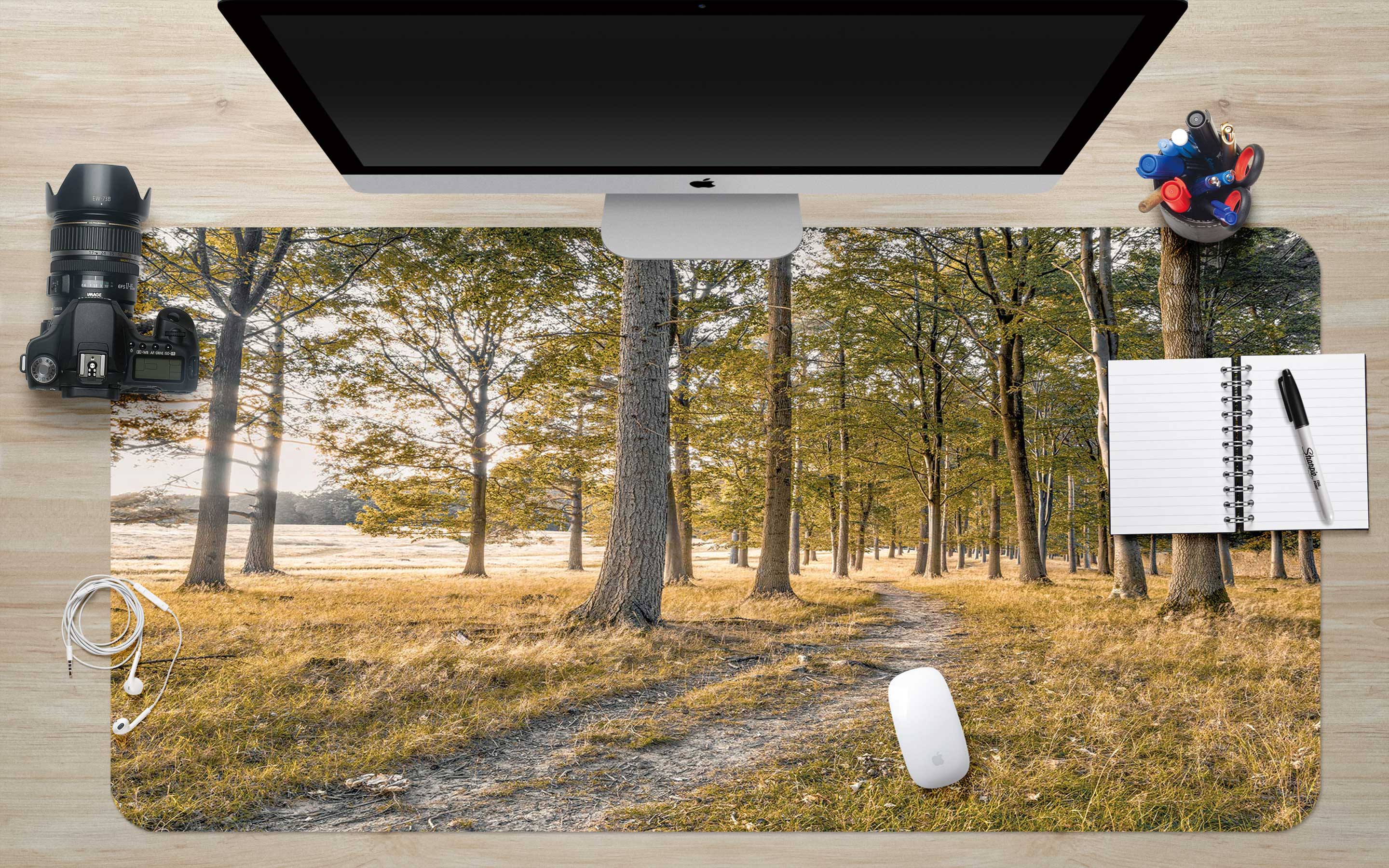 3D Forest 12437 Assaf Frank Desk Mat