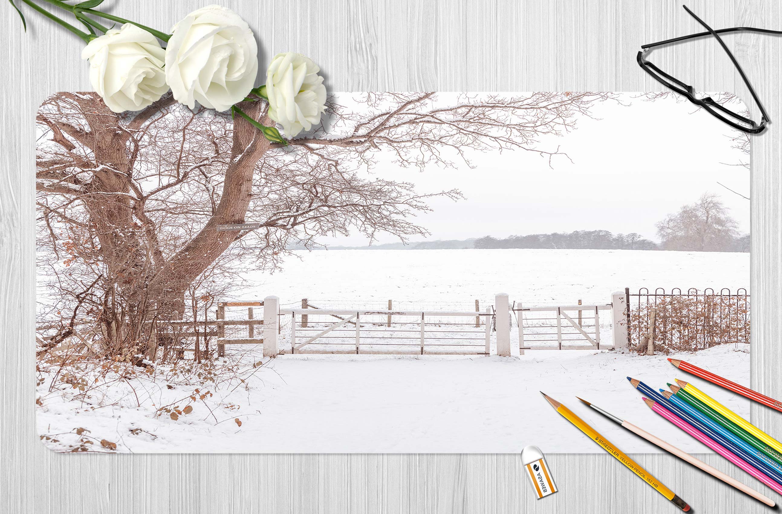 3D Snow Trees 12427 Assaf Frank Desk Mat