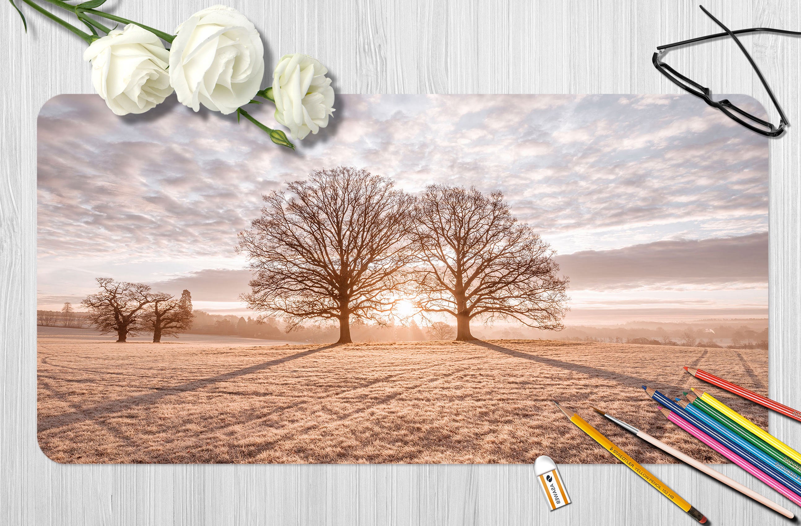 3D Sunset Tree Shadow Lawn 12457 Assaf Frank Desk Mat