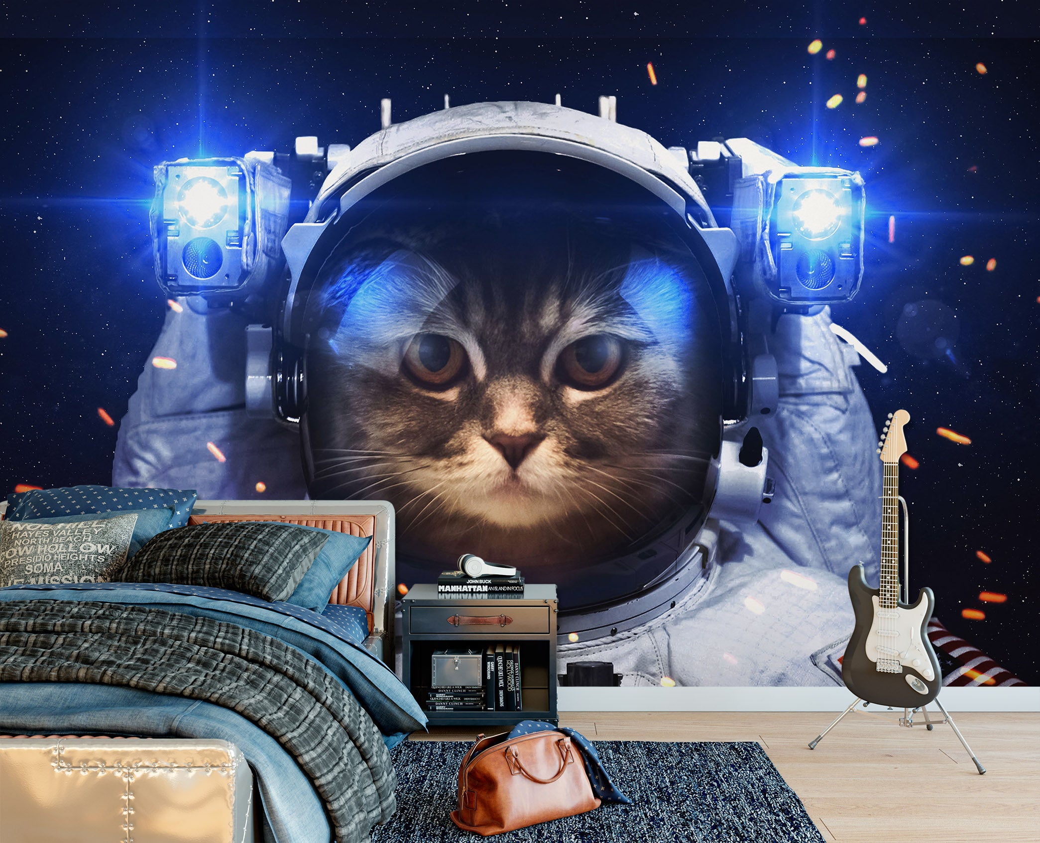 3D Space Cat 1733 Wall Murals