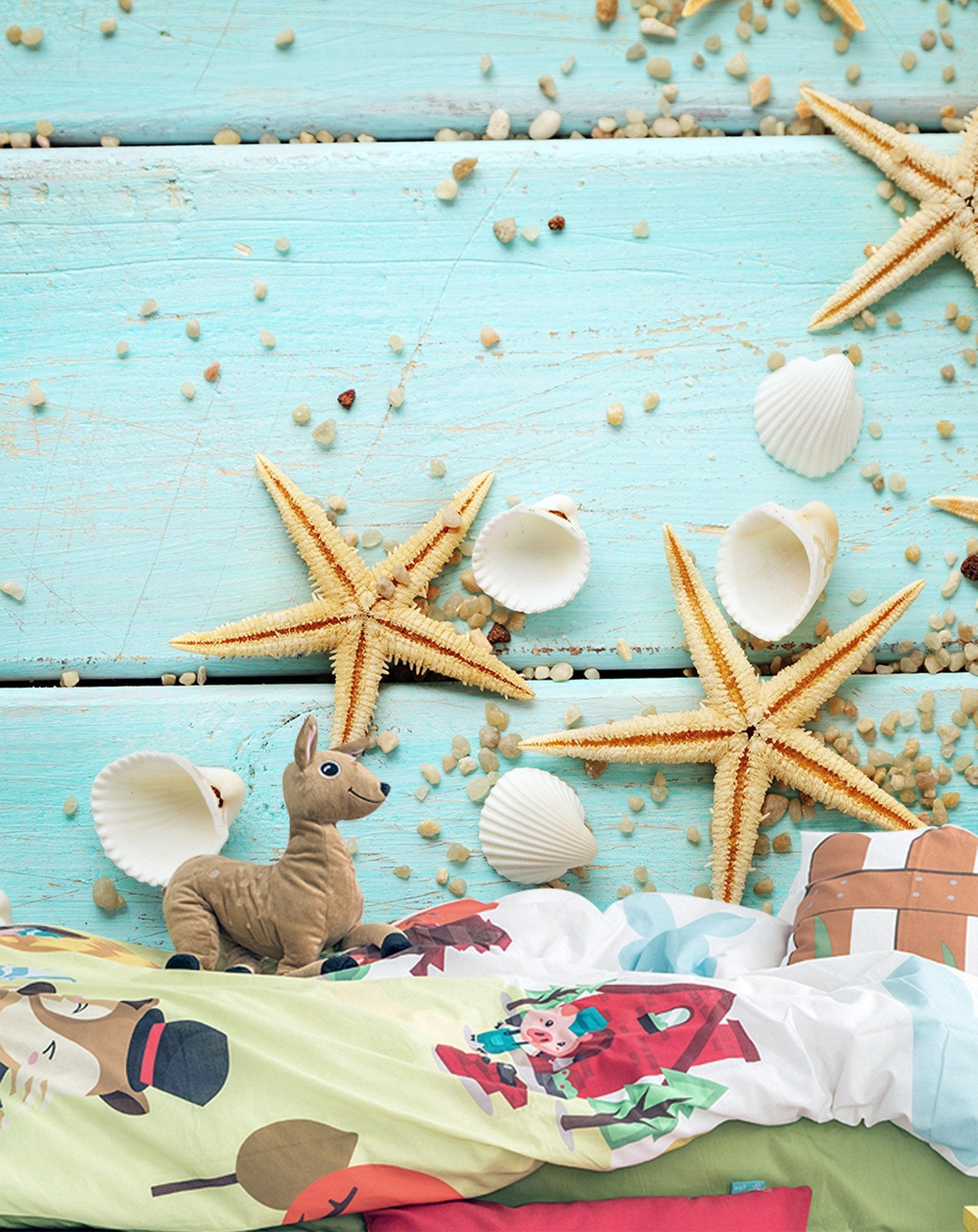 3D Starfish Shell 109 Wallpaper AJ Wallpaper