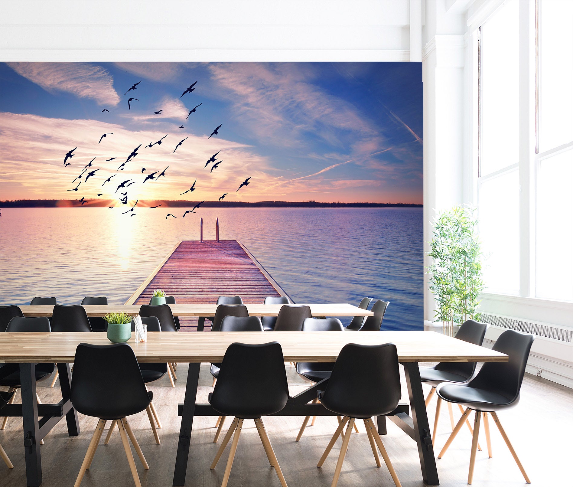 3D Sunlight Seagull 038 Wall Murals