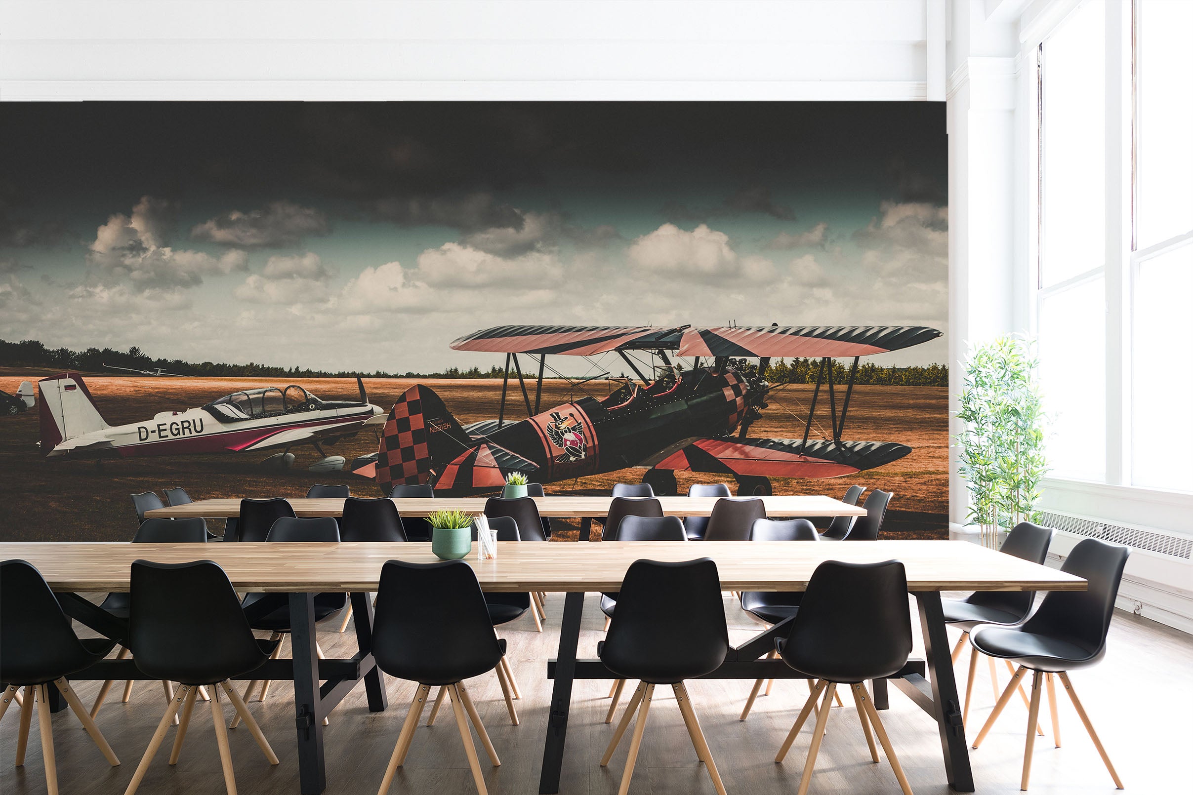 3D Panorama Aircraft 184 Vehicle Wall Murals