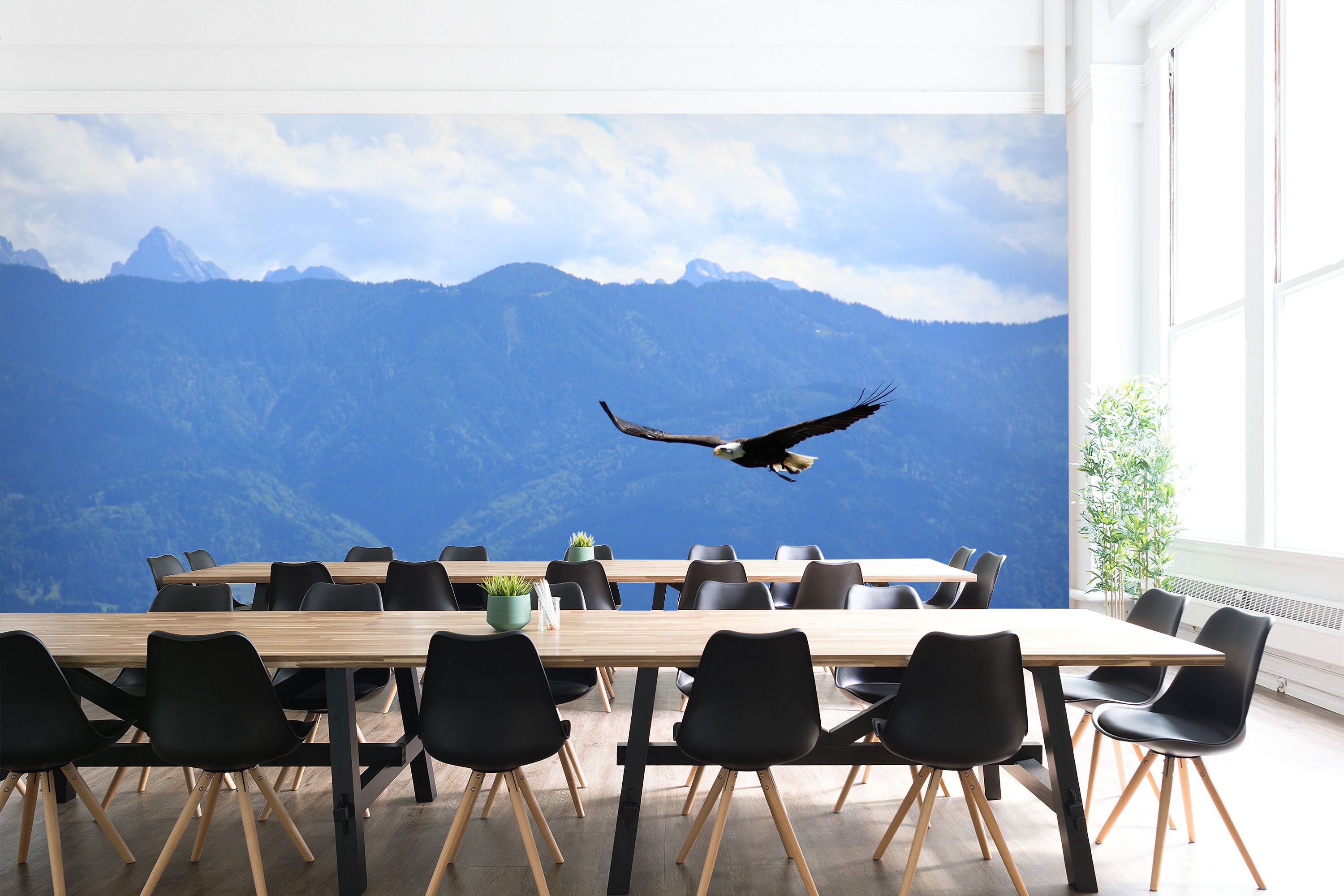 3D Mountain Peak Bird 574 Wallpaper AJ Wallpaper