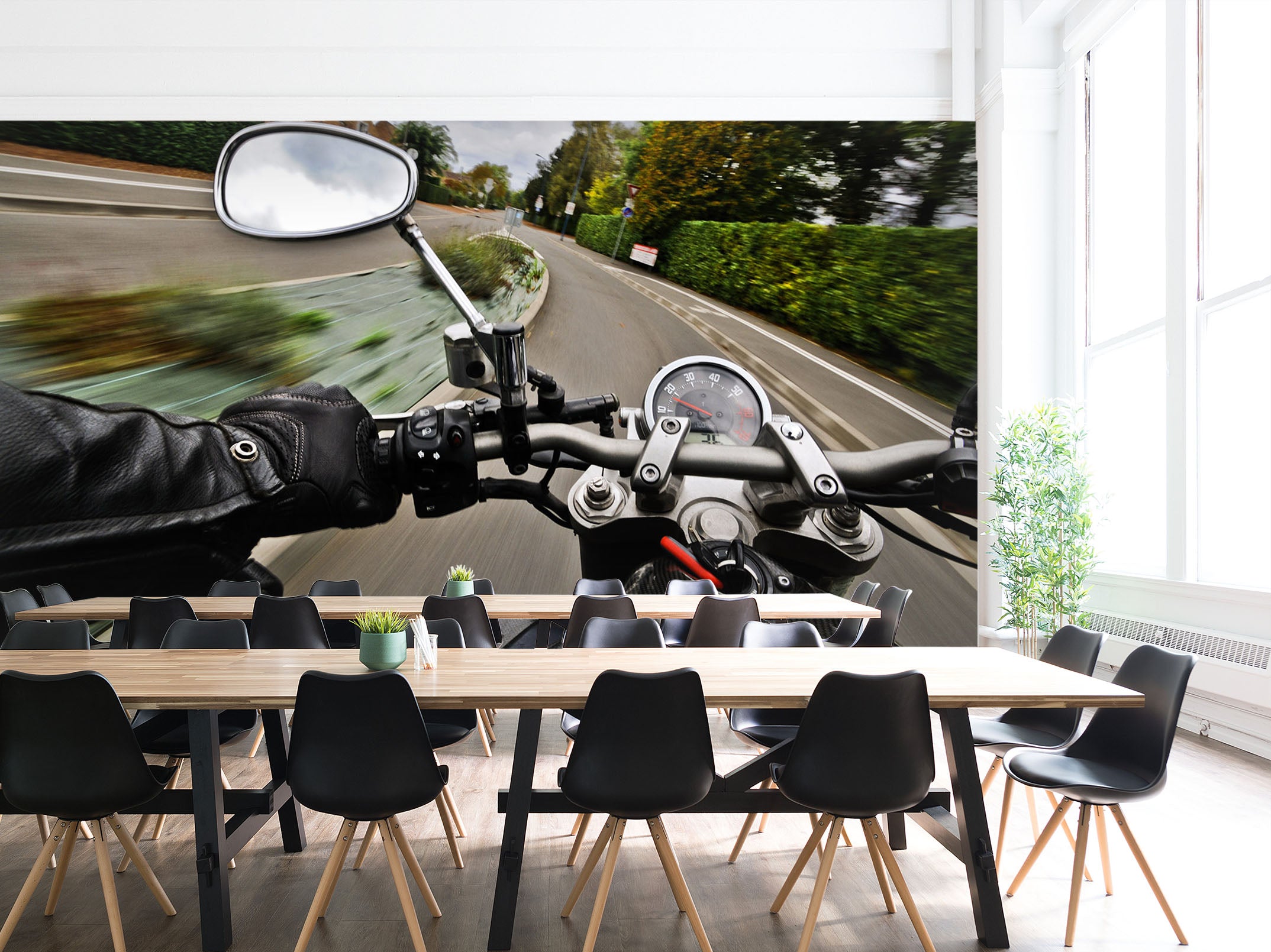 3D Motorcycle Plant 125 Vehicle Wall Murals