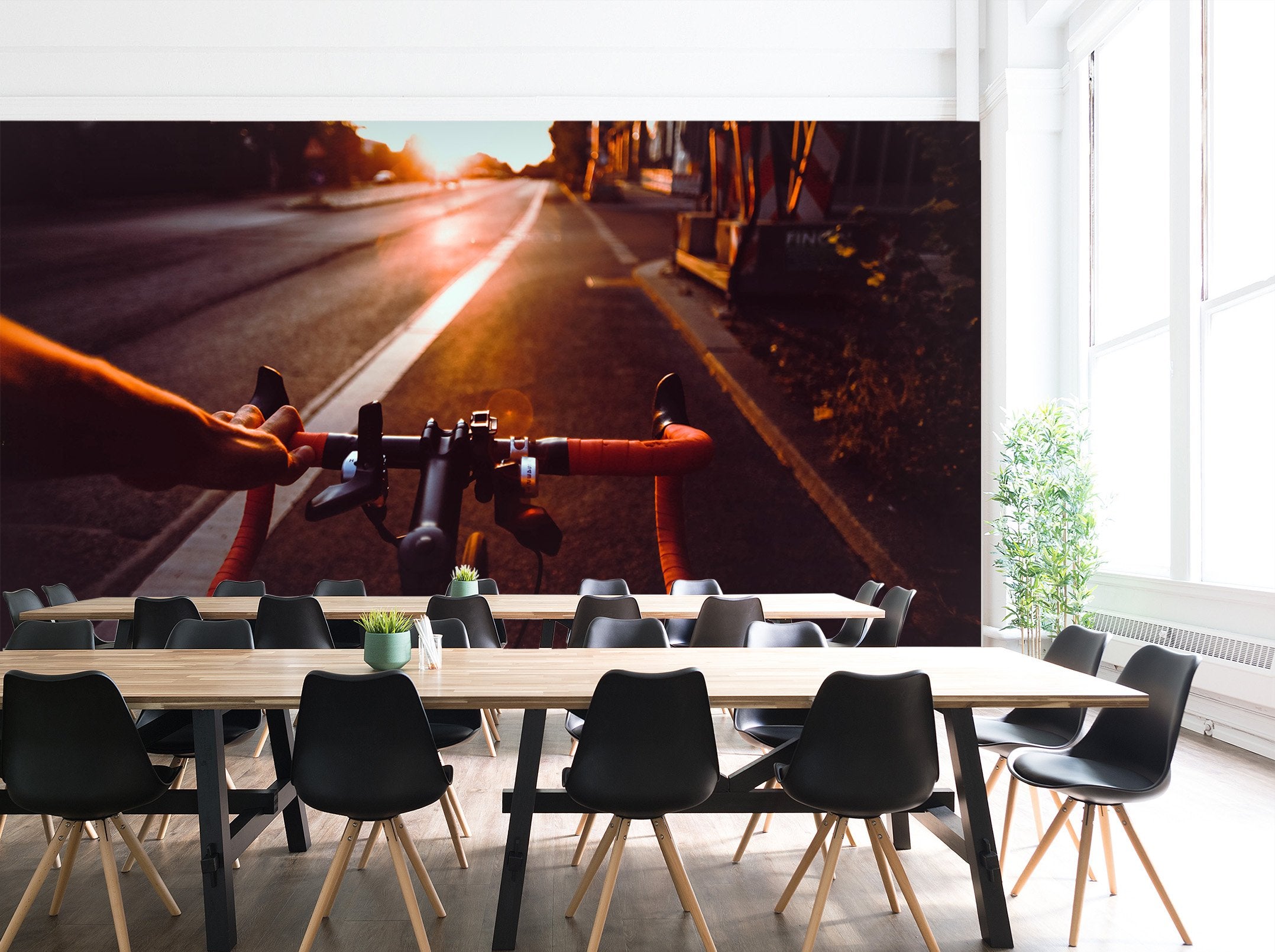 3D Asphalt Sun 900 Vehicle Wall Murals Wallpaper AJ Wallpaper 2