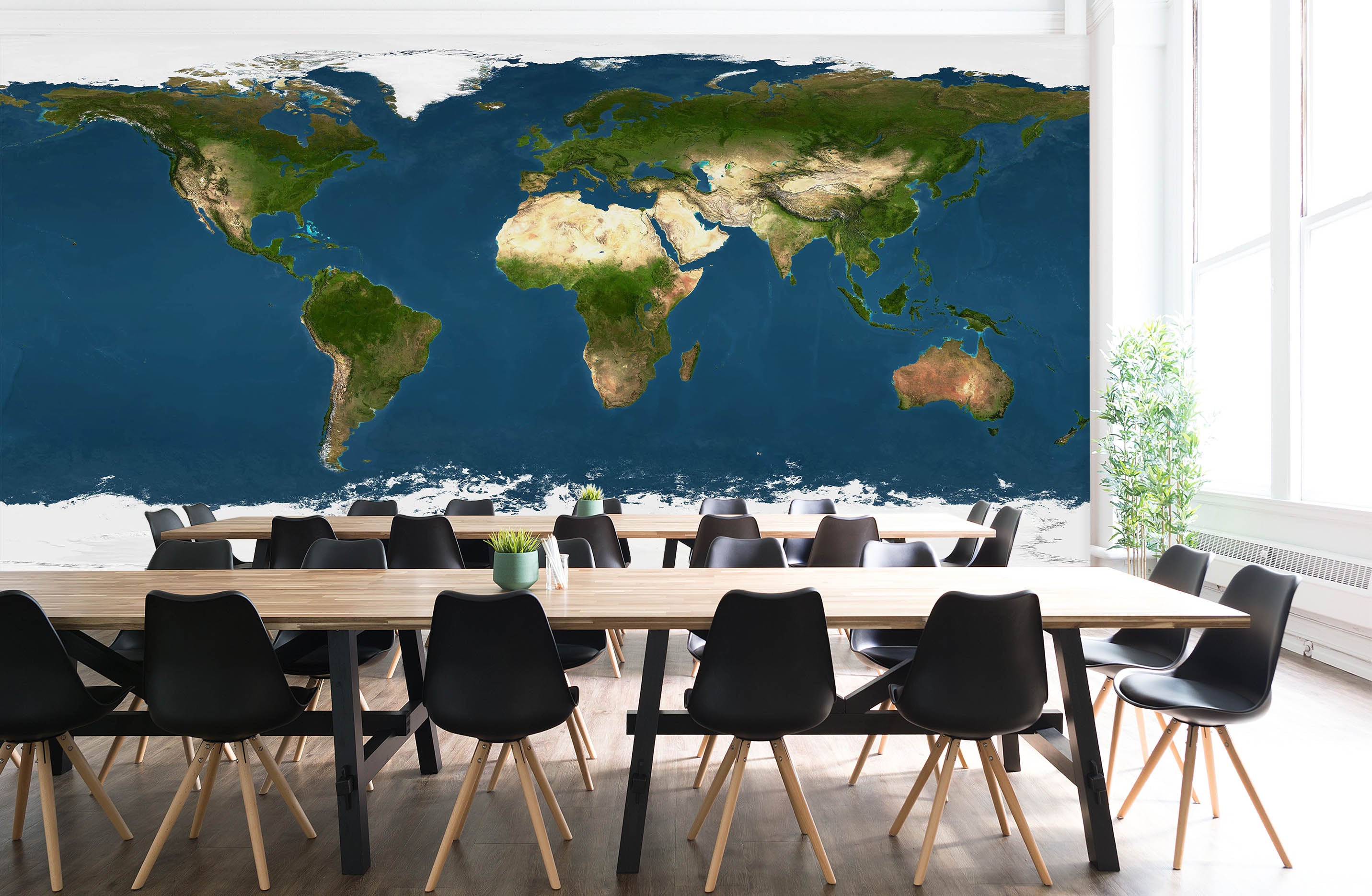 3D Island Forest 2159 World Map Wall Murals