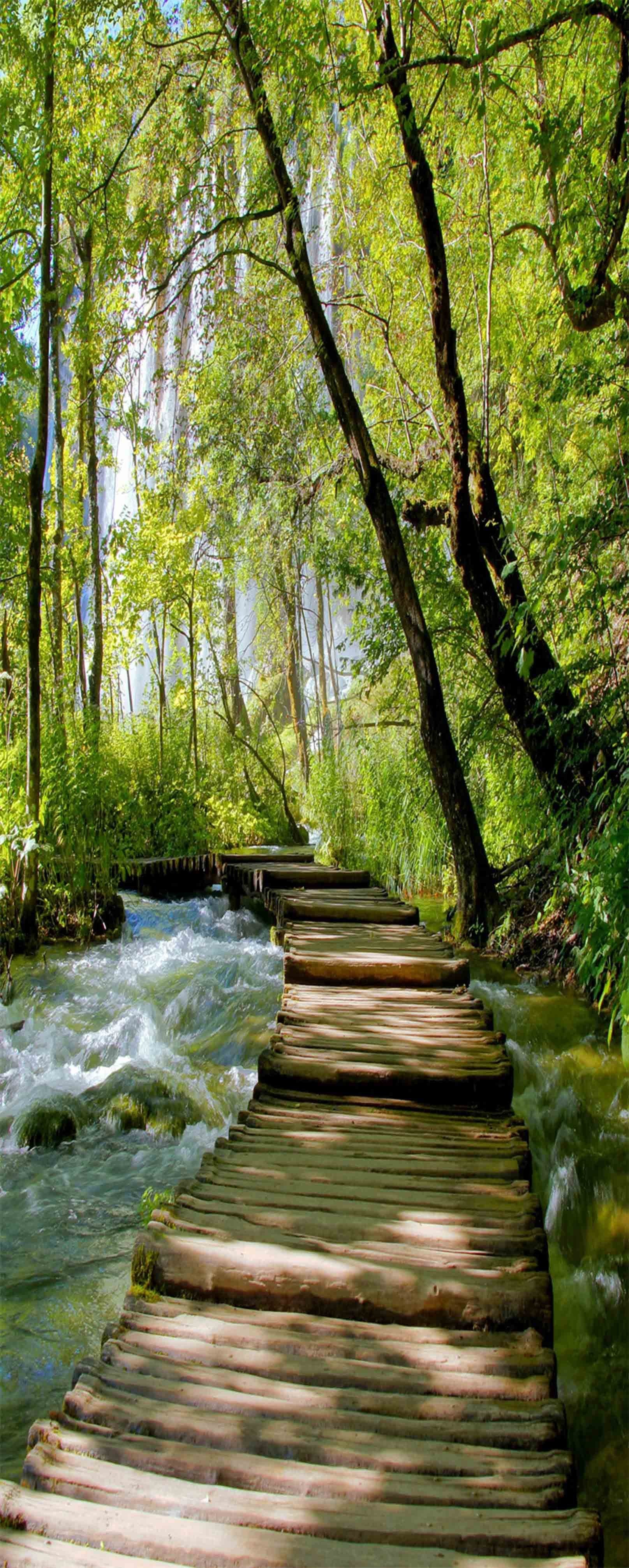 3D Froest River Wood Bridge 1148 Stair Risers Wallpaper AJ Wallpaper