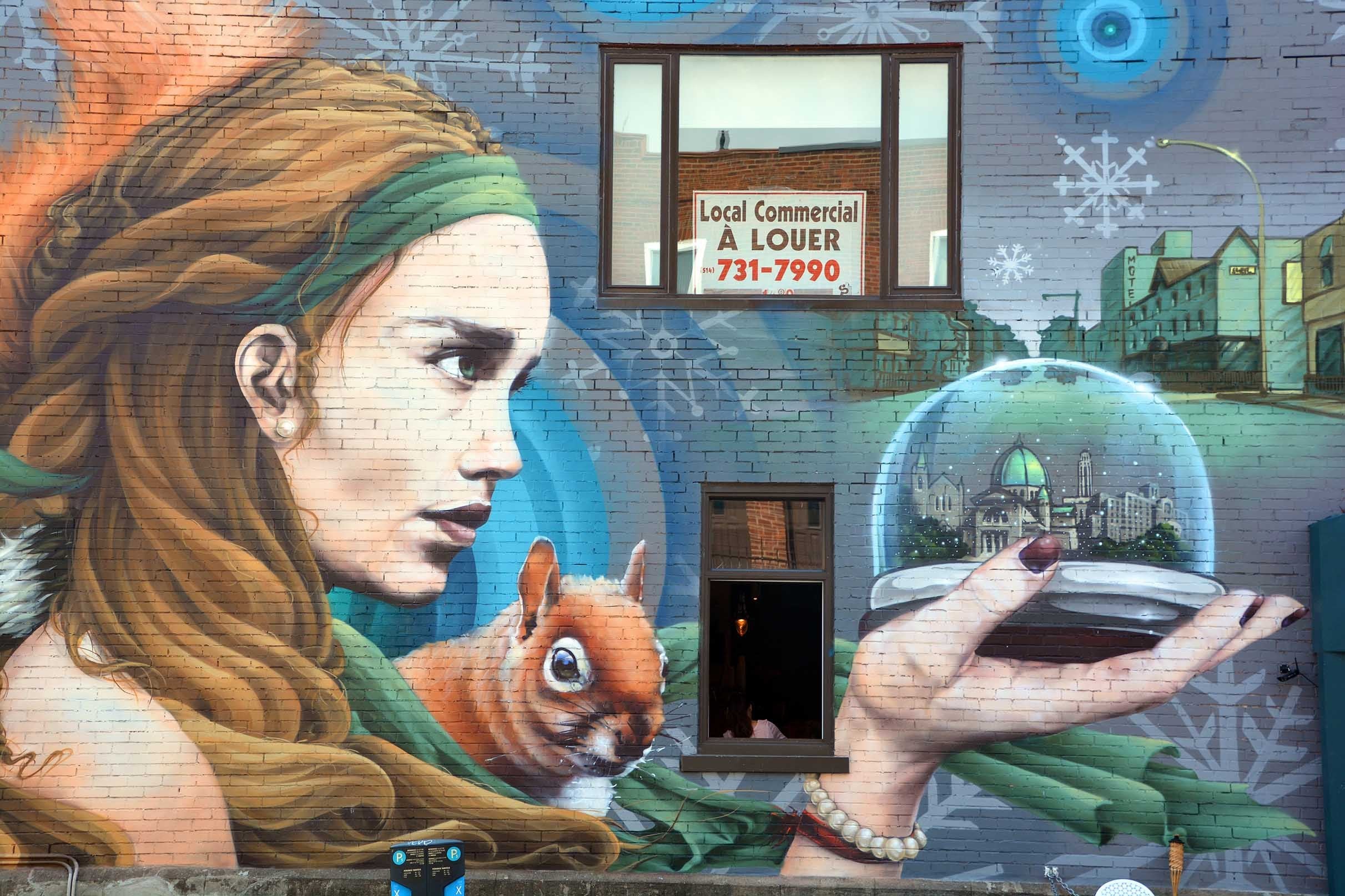 3D Pretty Graffiti Girl 336 Garage Door Mural Wallpaper AJ Wallpaper