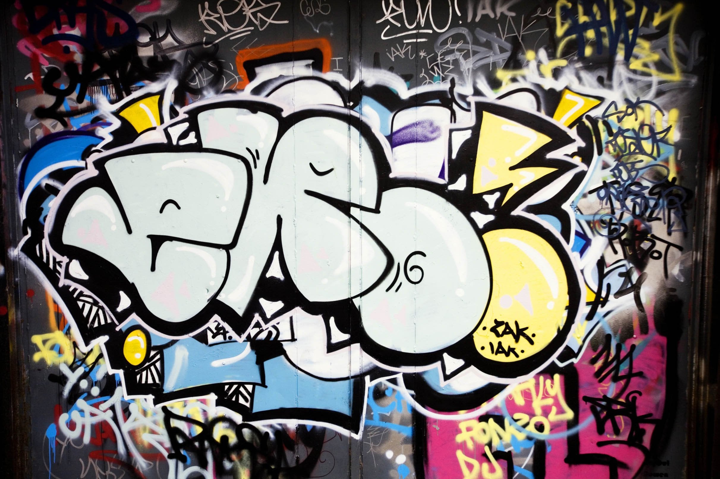 3D Creative Graffiti 450 Garage Door Mural Wallpaper AJ Wallpaper