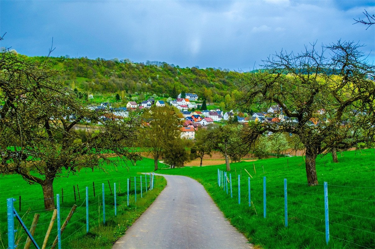 3D Town Grassland Trees 191 Garage Door Mural Wallpaper AJ Wallpaper