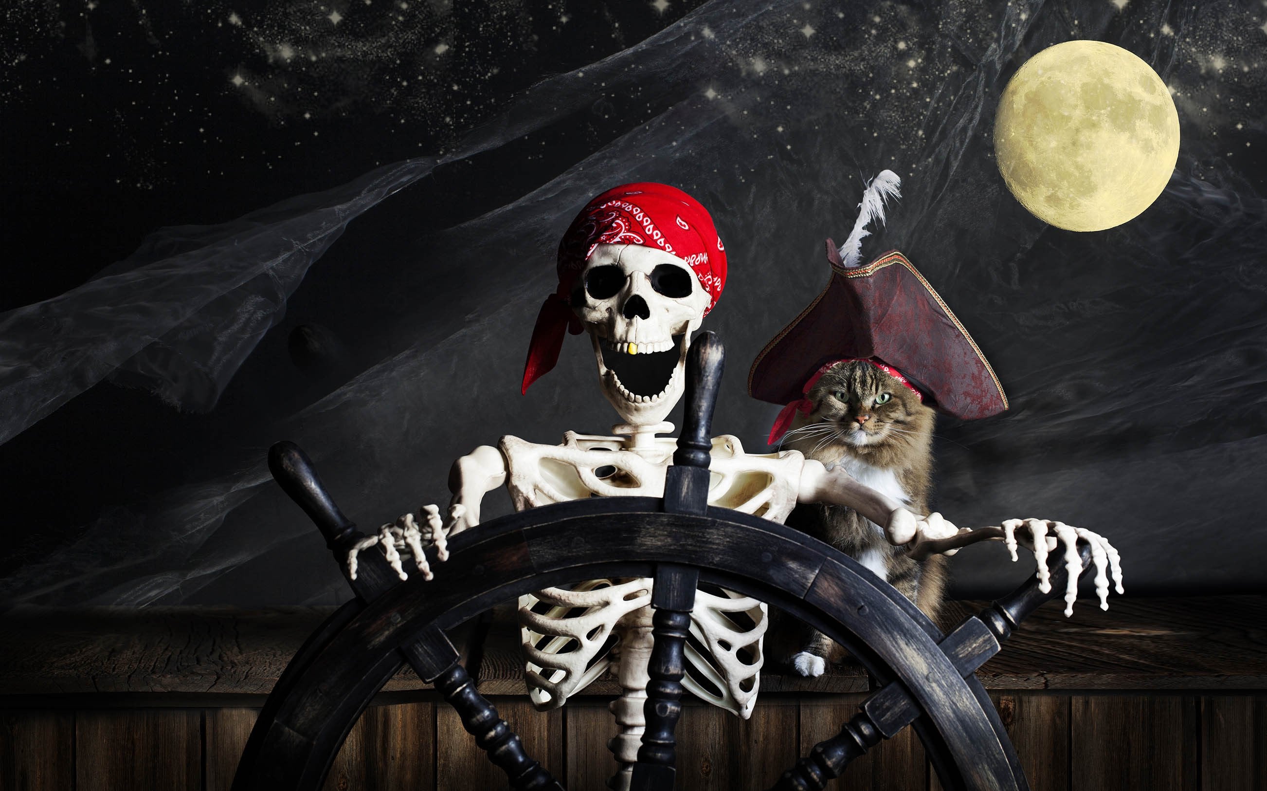 3D Pirate Ship Captain 439 Garage Door Mural Wallpaper AJ Wallpaper