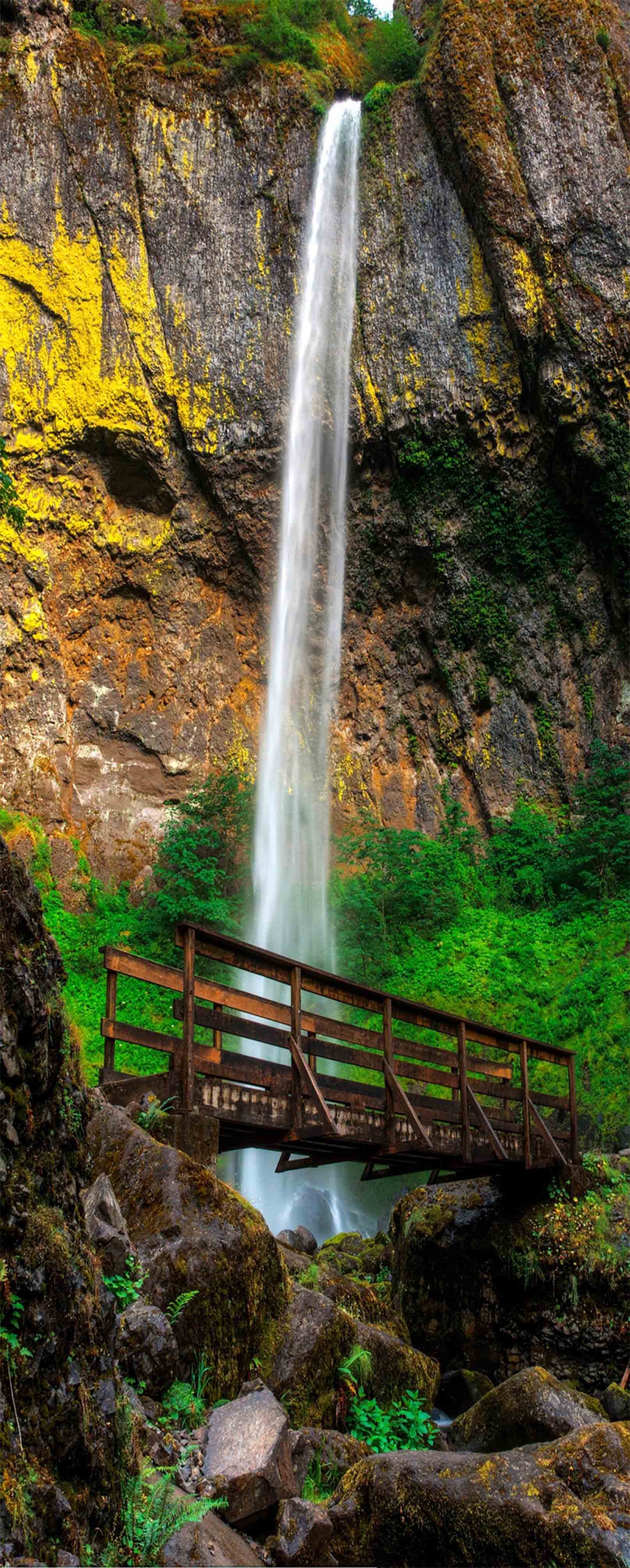 3D Waterfall Wood Bridge 1149 Stair Risers Wallpaper AJ Wallpaper