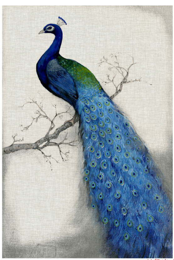 Phoenix On Branches Wallpaper AJ Wallpaper