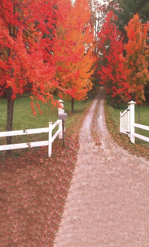 Road Scenery Wallpaper AJ Wallpaper