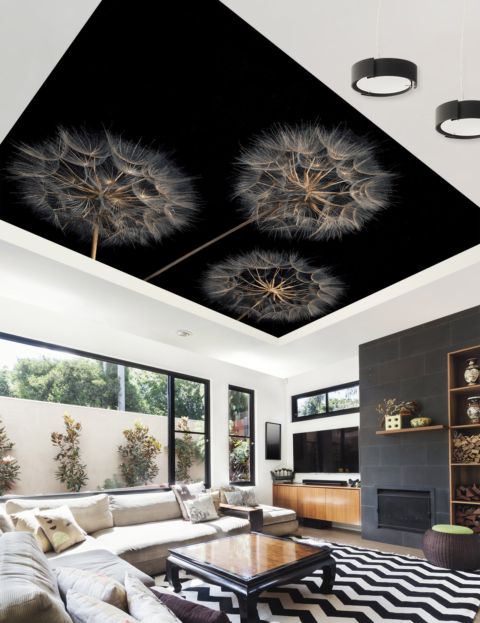 3D Black Dandelion 2584 Assaf Frank Ceiling Wallpaper Murals