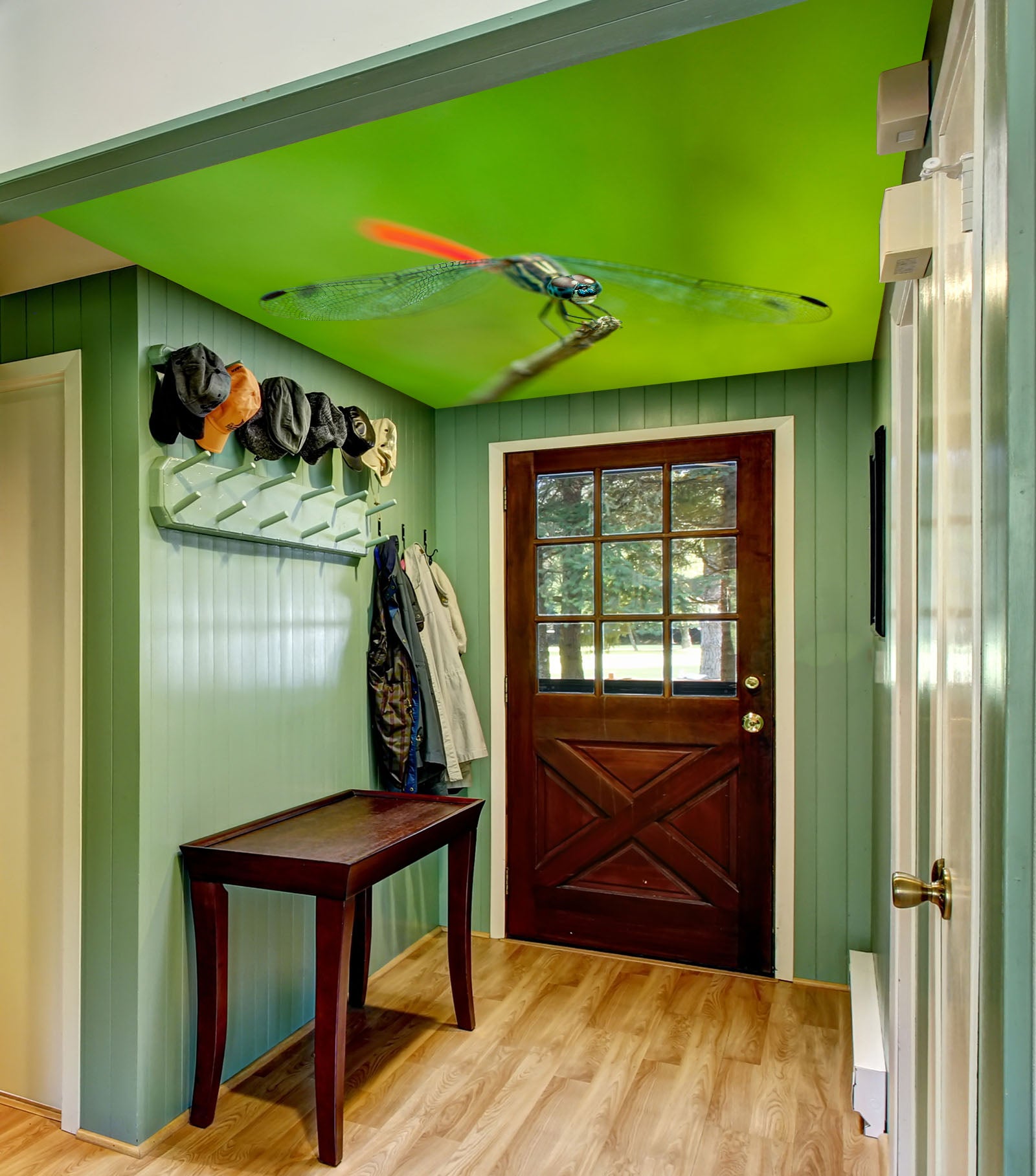 3D Green Dragonfly 405 Assaf Frank Ceiling Wallpaper Murals