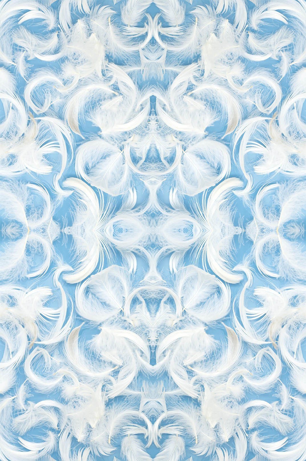 3D White Feathers 1323 Stair Risers Wallpaper AJ Wallpaper