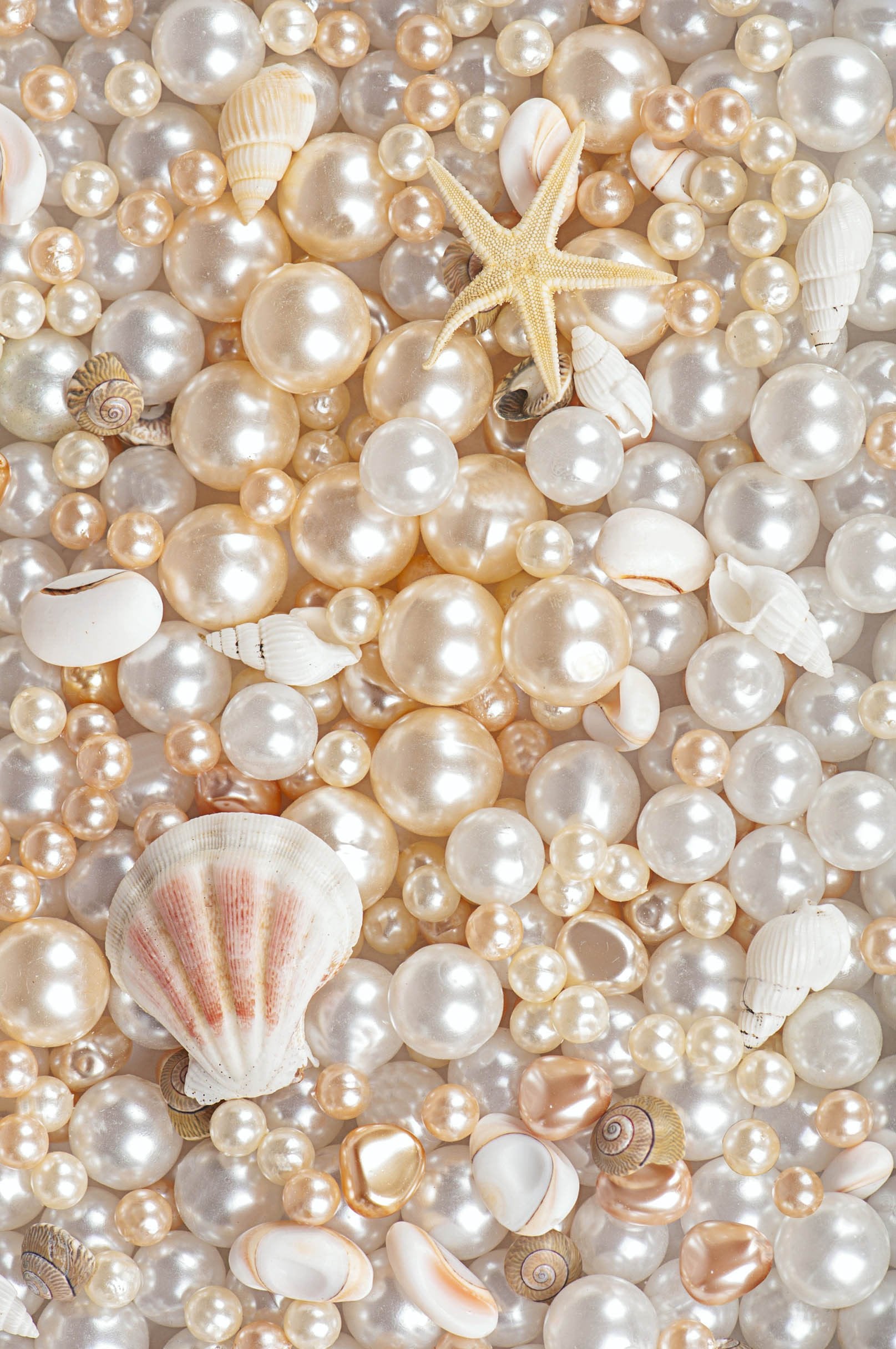 3D Pearls Shells 1281 Stair Risers Wallpaper AJ Wallpaper
