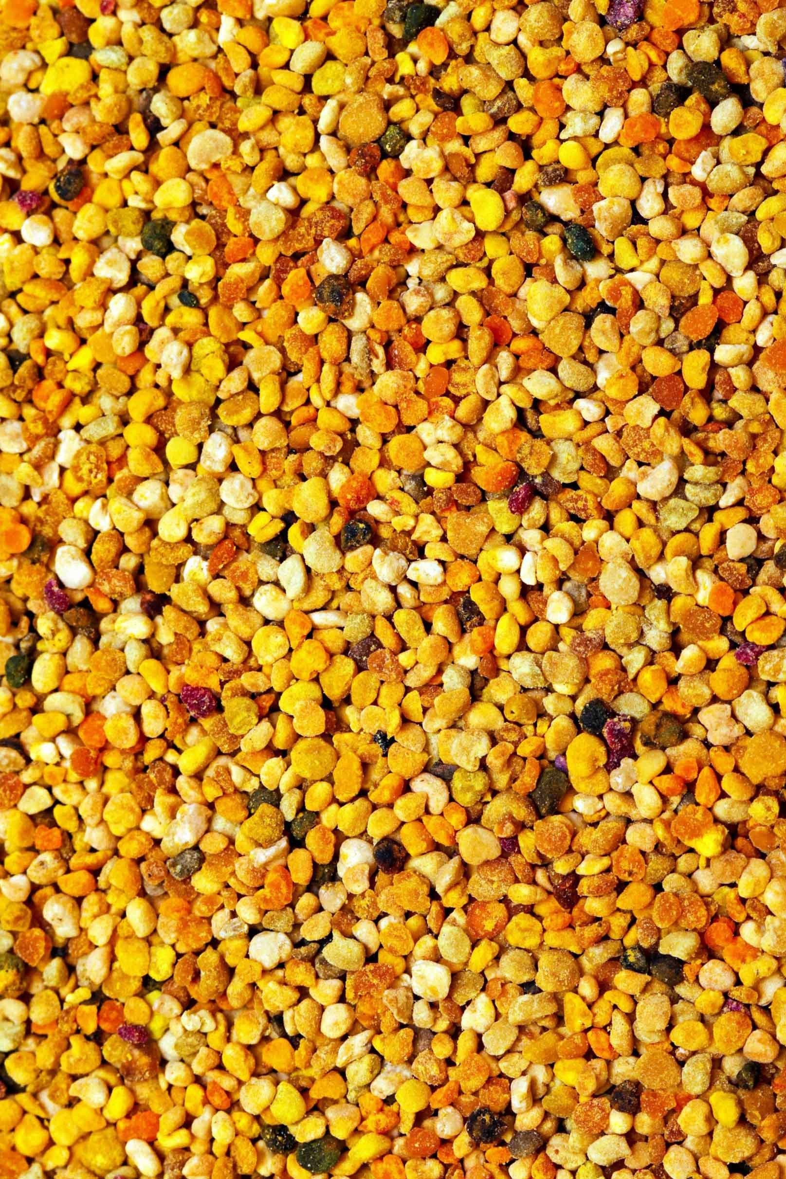 3D Delicious Nuts 1124 Stair Risers Wallpaper AJ Wallpaper