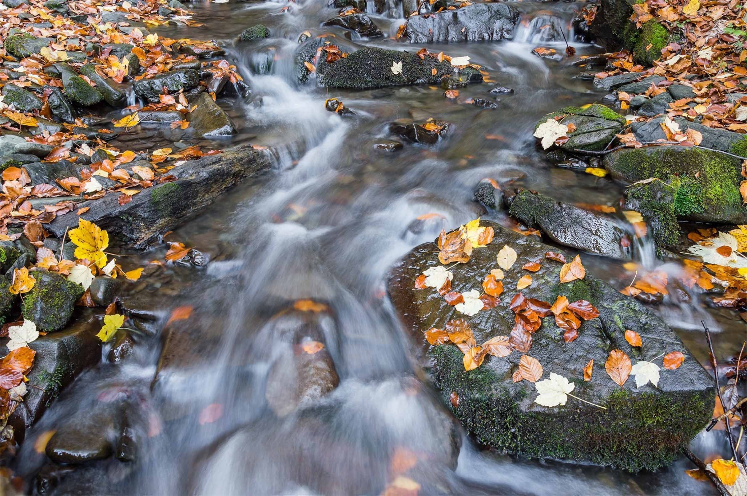 3D Stony Creek Kitchen Mat Floor Mural Wallpaper AJ Wallpaper