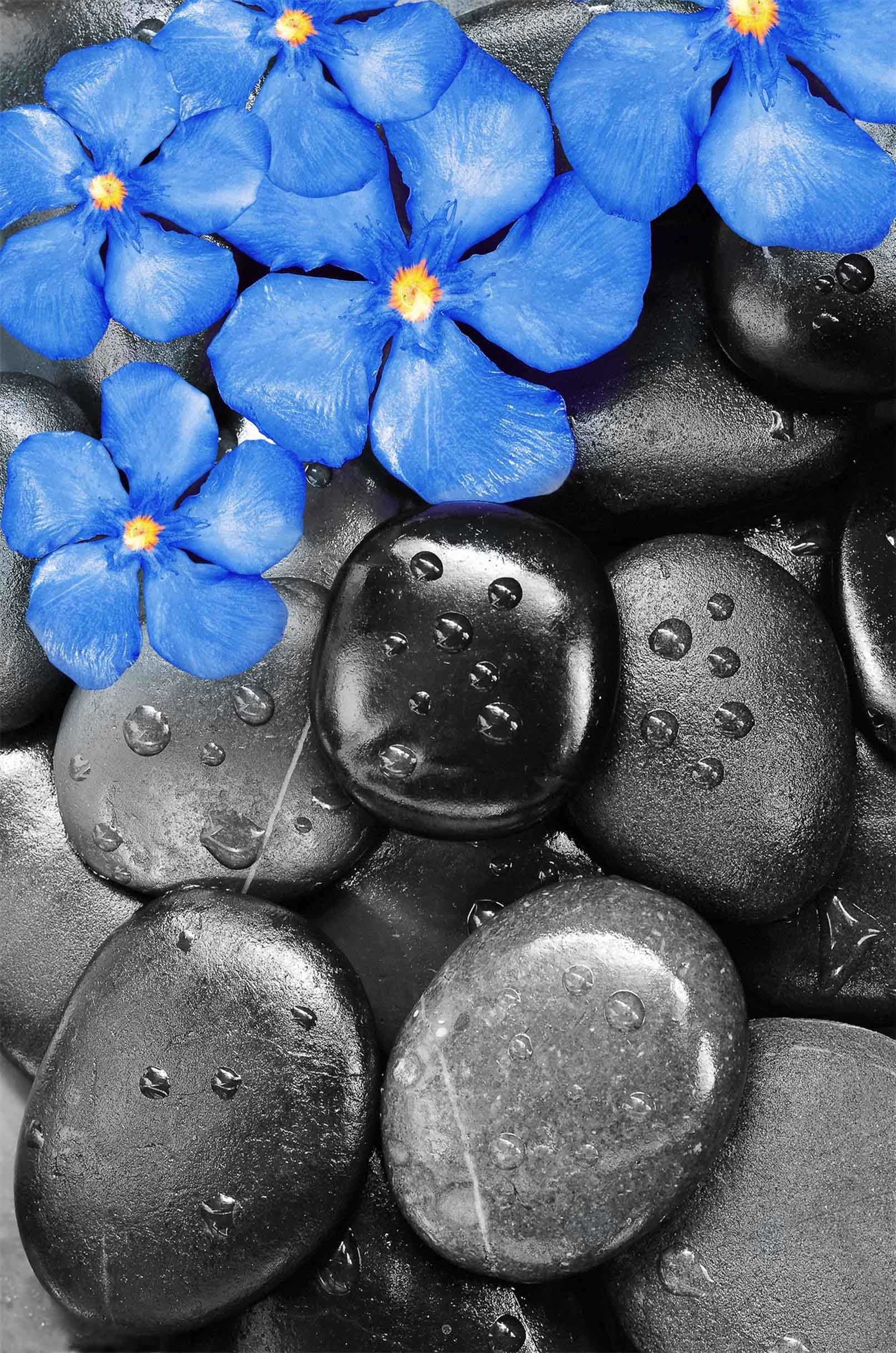 3D Blue Flowers Black Stones 1121 Stair Risers Wallpaper AJ Wallpaper