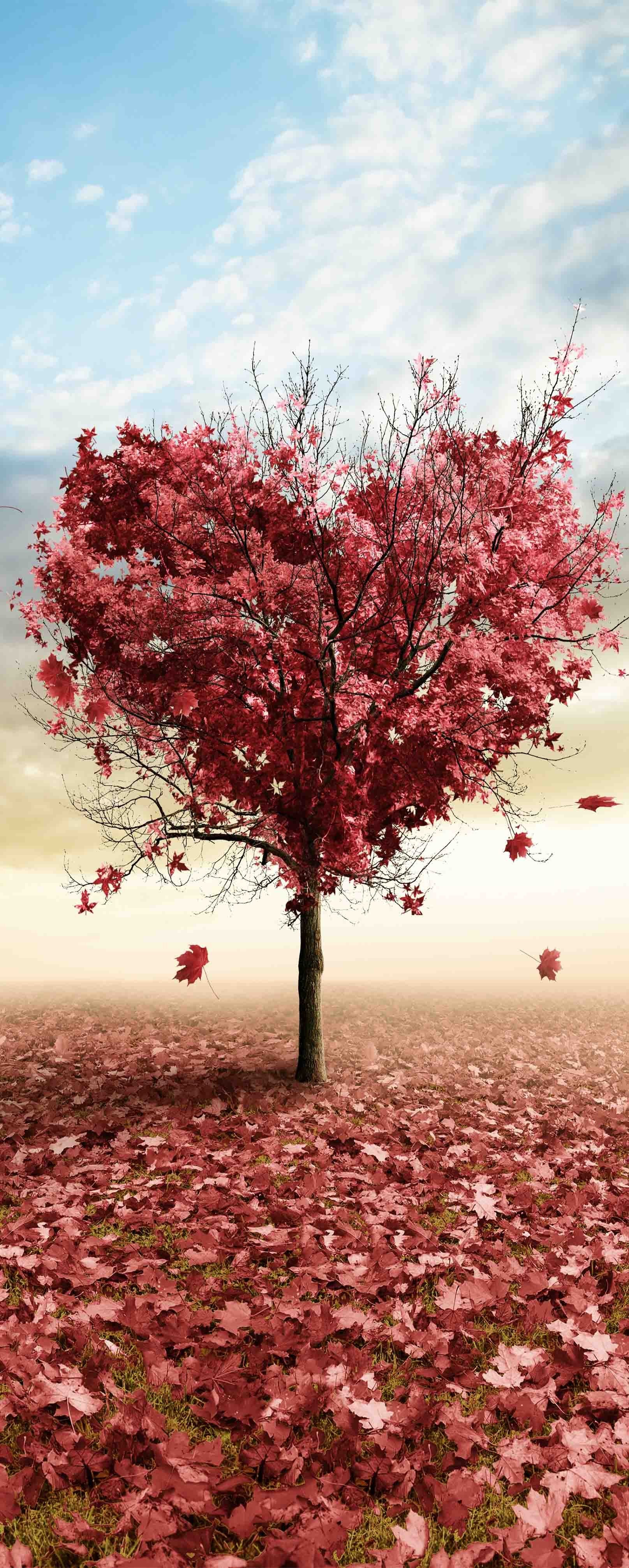 3D Heart Shape Tree 1111 Stair Risers Wallpaper AJ Wallpaper