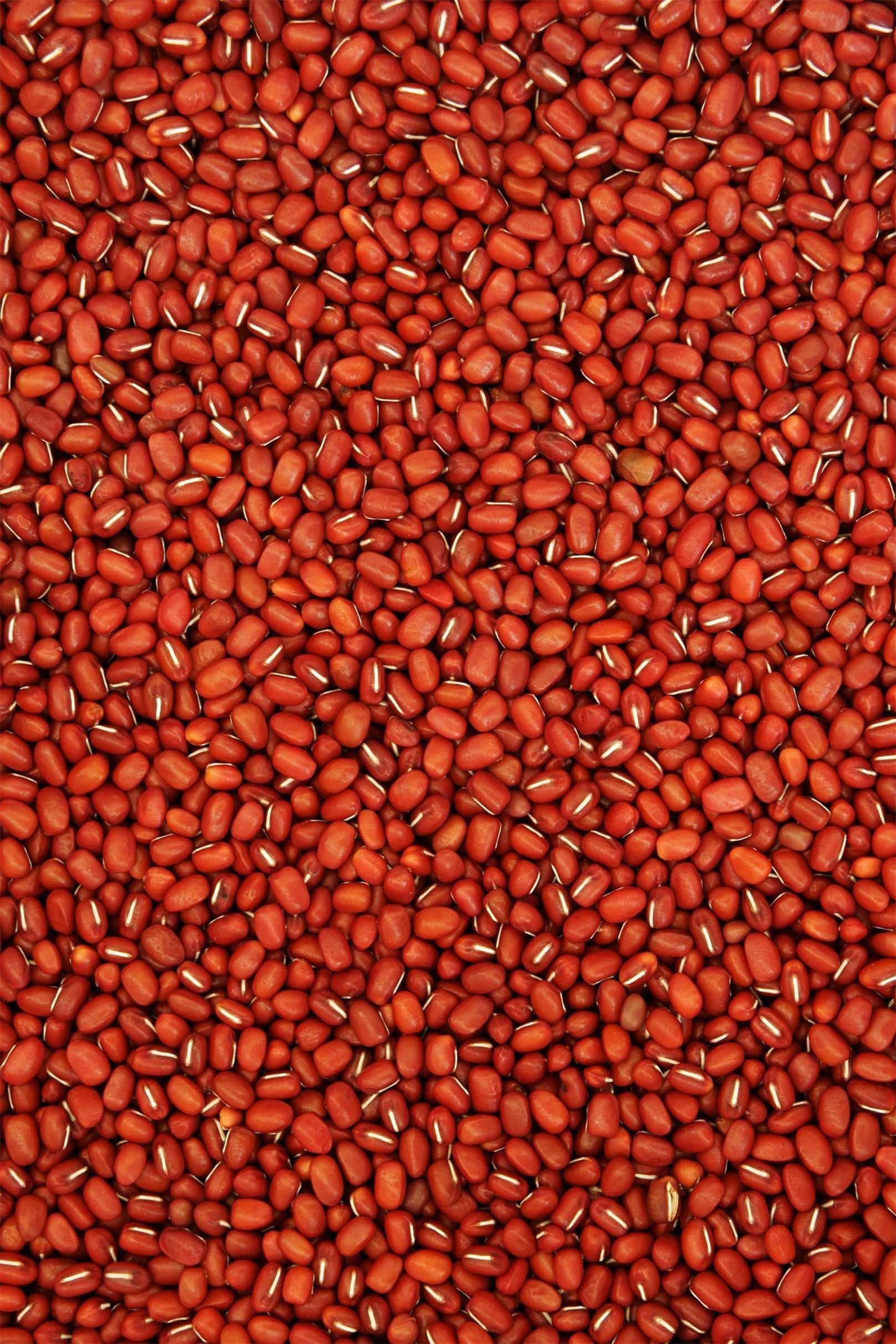 3D Red Beans 1479 Stair Risers Wallpaper AJ Wallpaper