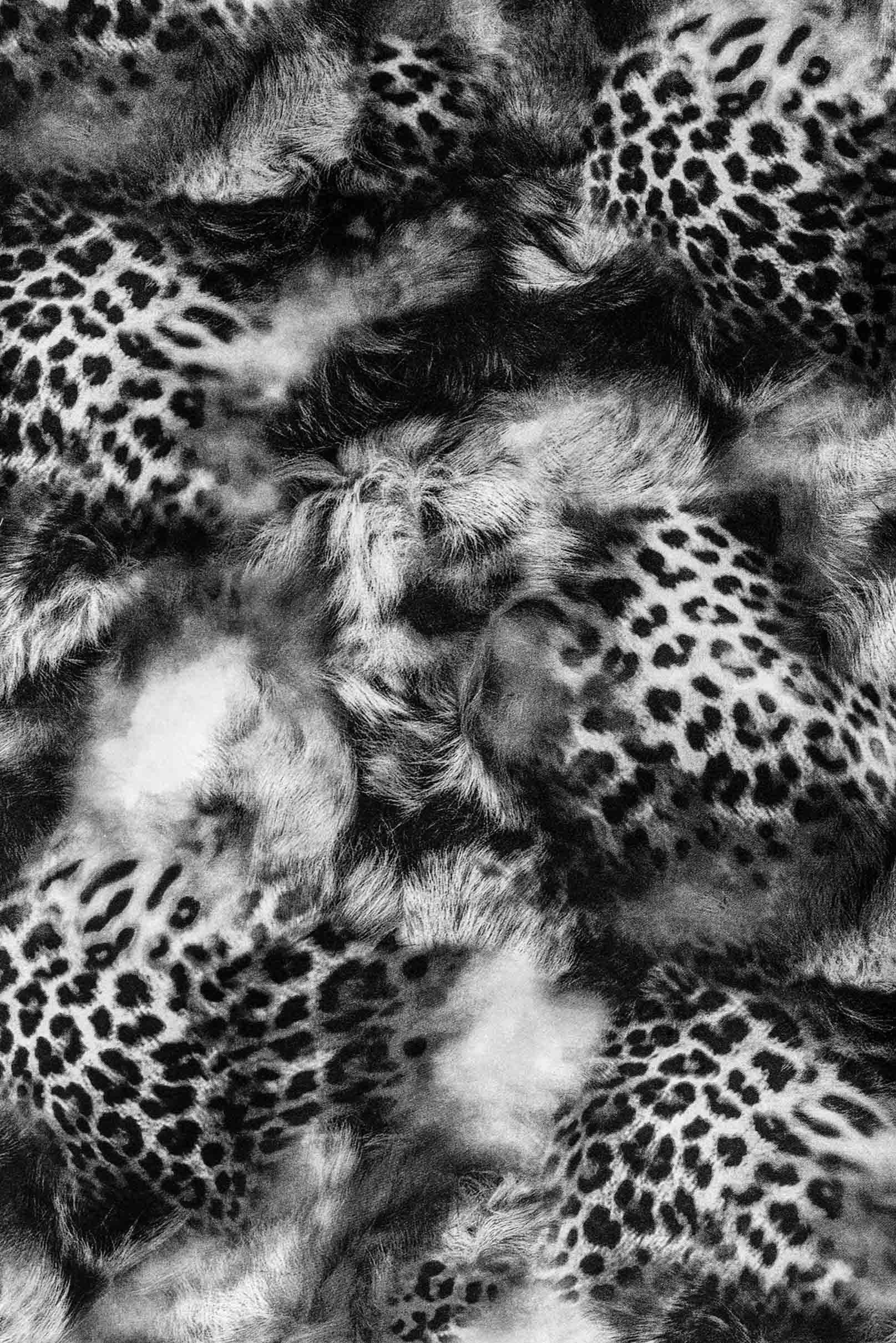 3D Animal Feather Pattern 1140 Stair Risers Wallpaper AJ Wallpaper