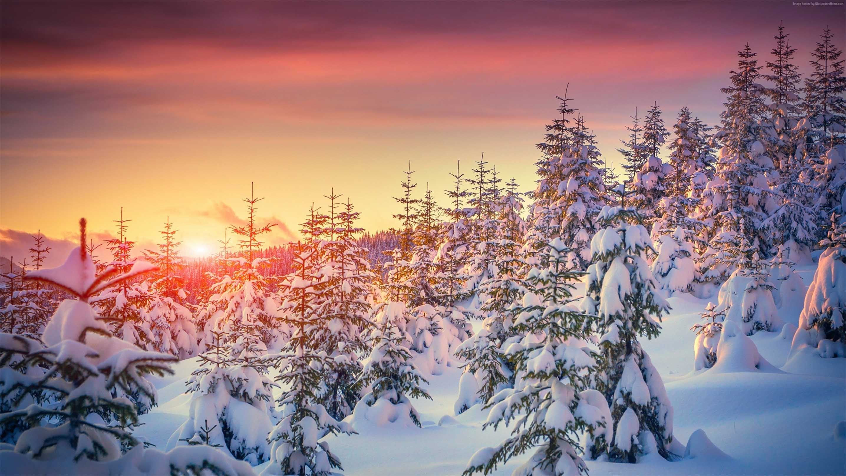 3D Snow Forest Sunset 658 Kitchen Mat Floor Mural Wallpaper AJ Wallpaper