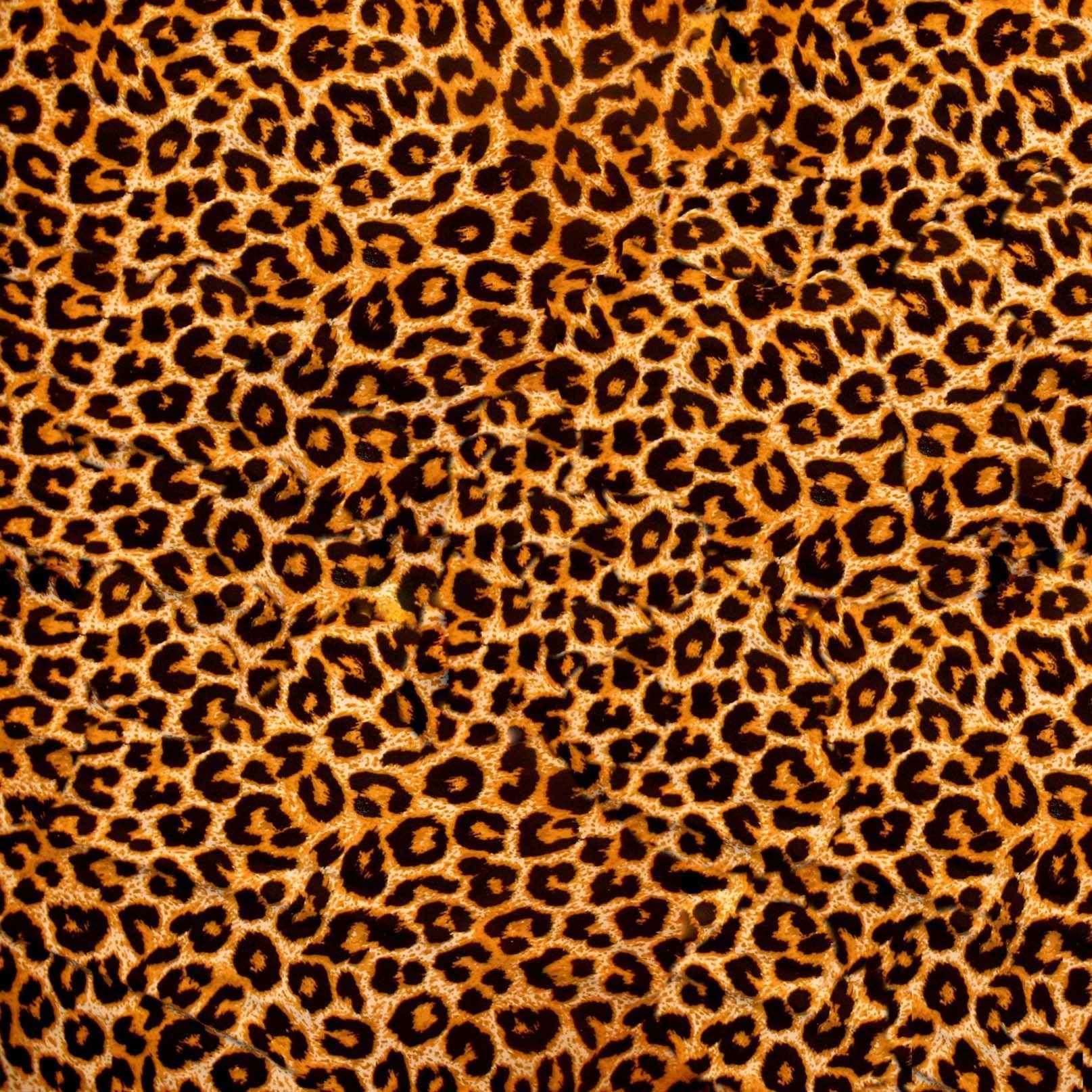 3D Leopard Prints Kitchen Mat Floor Mural Wallpaper AJ Wallpaper