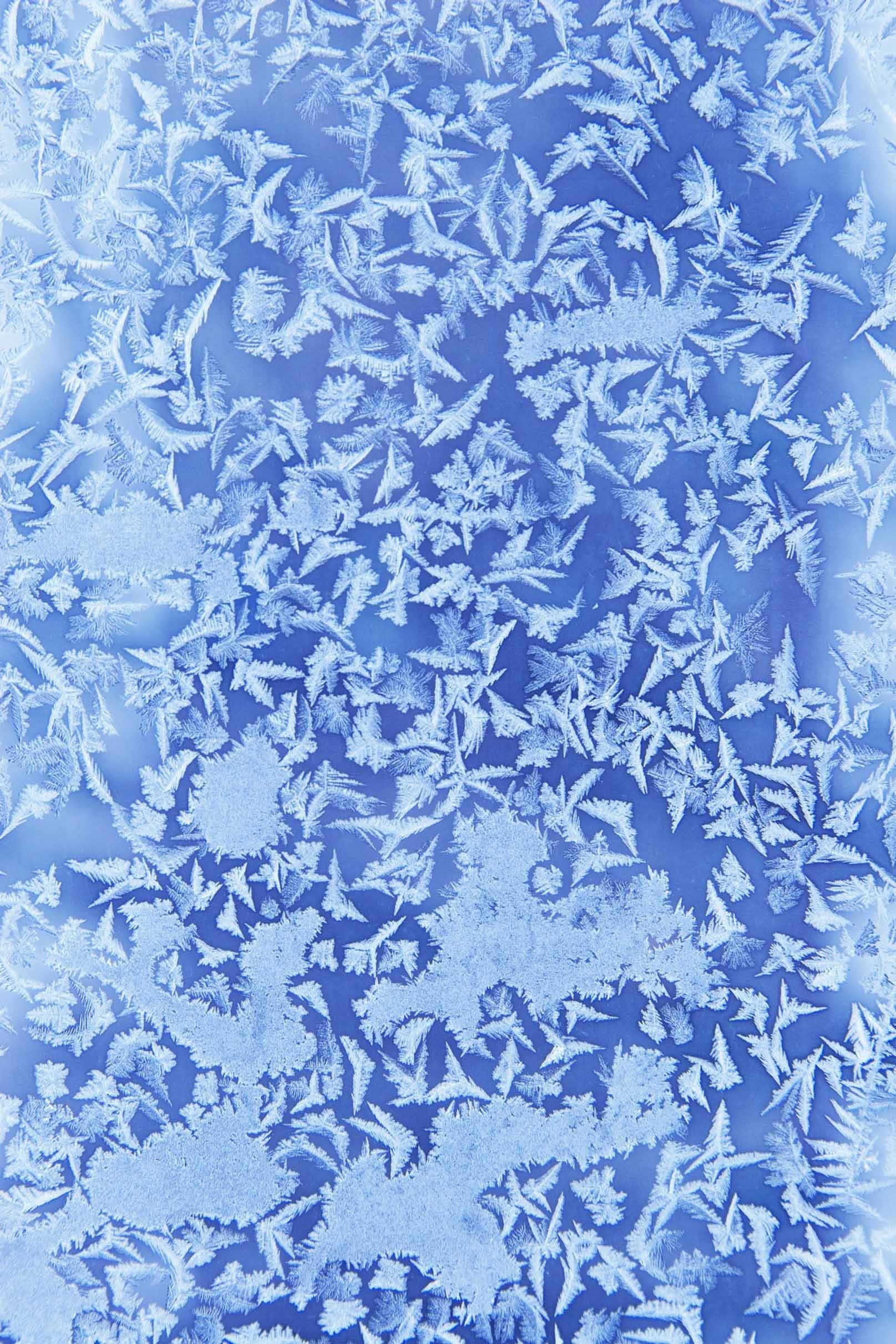 3D Frozen Snowflakes 1134 Stair Risers Wallpaper AJ Wallpaper