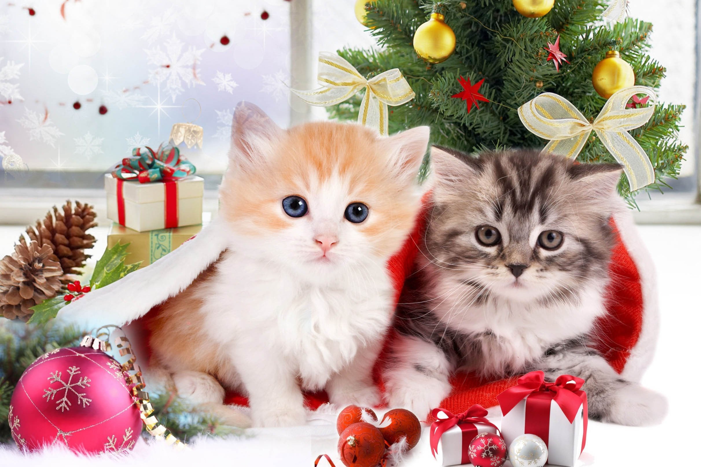 3D Lovely Cats 648 Kitchen Mat Floor Mural Wallpaper AJ Wallpaper