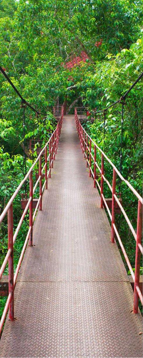 3D green Bridge door mural Wallpaper AJ Wallpaper