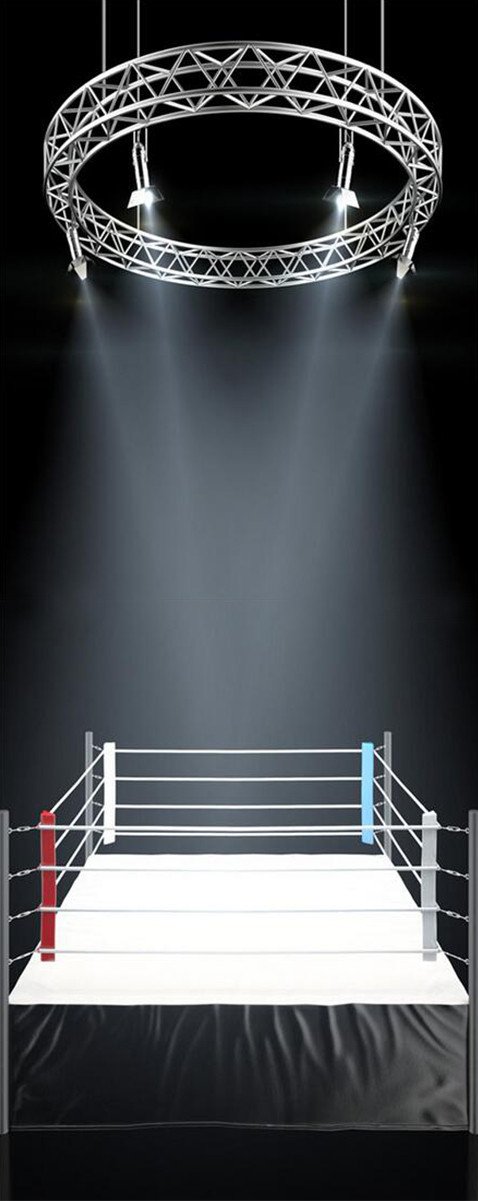 3D arena stage lighting door mural Wallpaper AJ Wallpaper