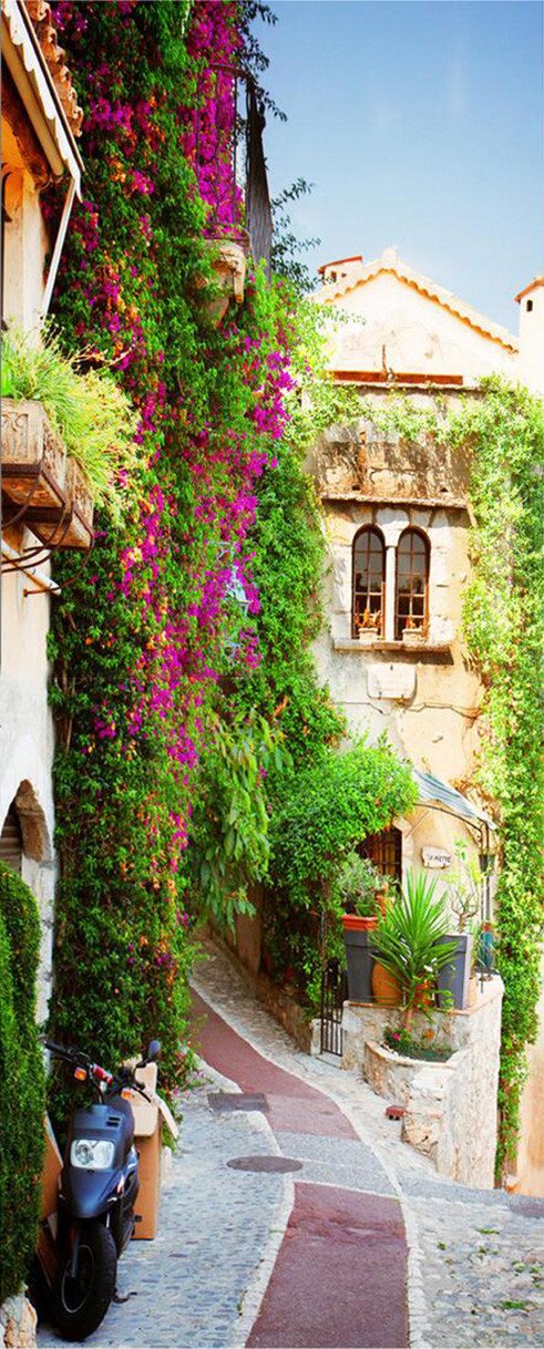 3D flowering of the vines door mural Wallpaper AJ Wallpaper