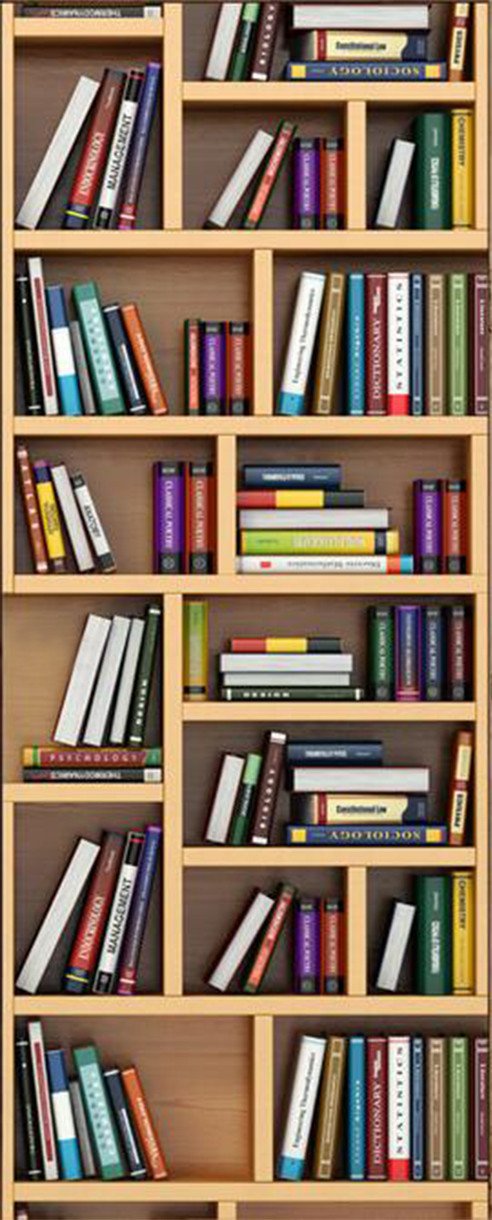 3D bookcase storage consolidation door mural Wallpaper AJ Wallpaper