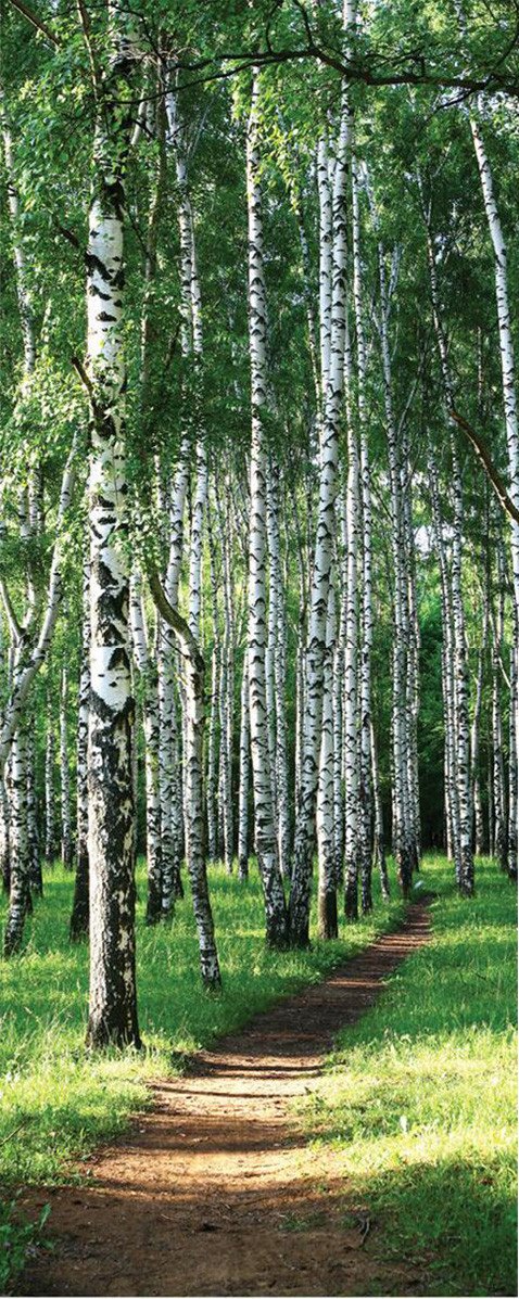 3D Woods Path 2 door mural Wallpaper AJ Wallpaper