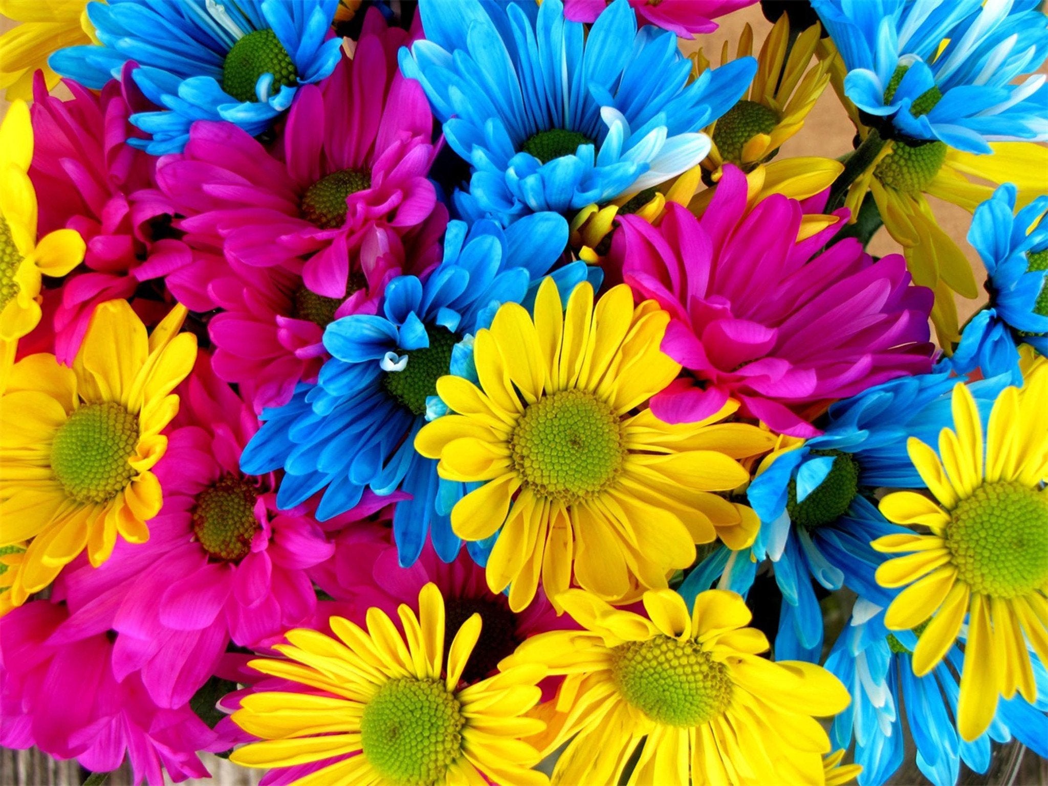 Various Color Flowers Wallpaper AJ Wallpaper