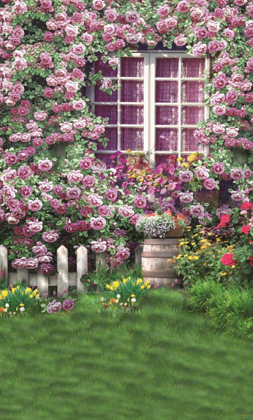 Blossoms Window Wallpaper AJ Wallpaper