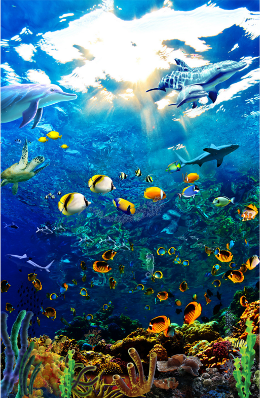 Shining Sea Wallpaper AJ Wallpaper 2