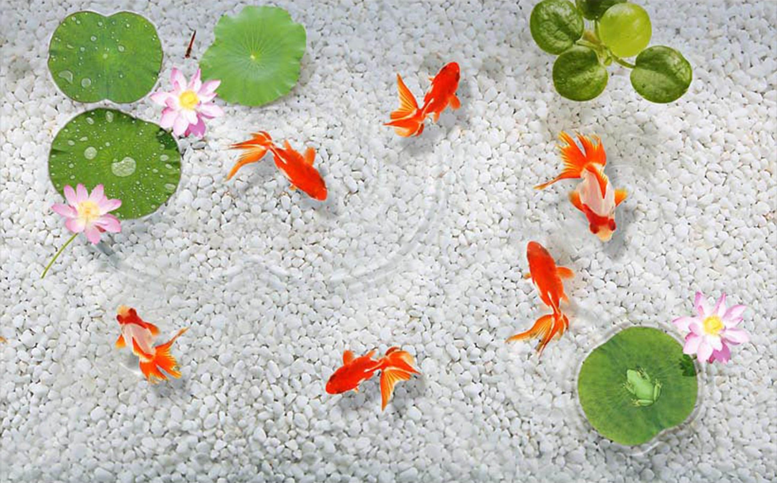 3D Fish Pond Stones Kitchen Mat Floor Mural Wallpaper AJ Wallpaper