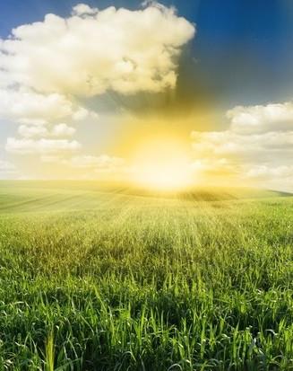 Dazzling Sun 1 Wallpaper AJ Wallpaper