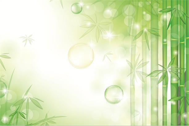 Bamboo Forest Wallpaper AJ Wallpaper